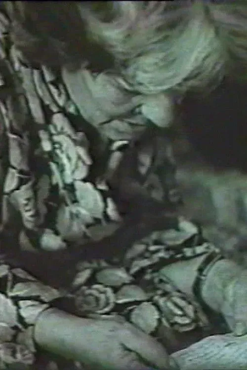 Постер фильма Тайфун Тамара