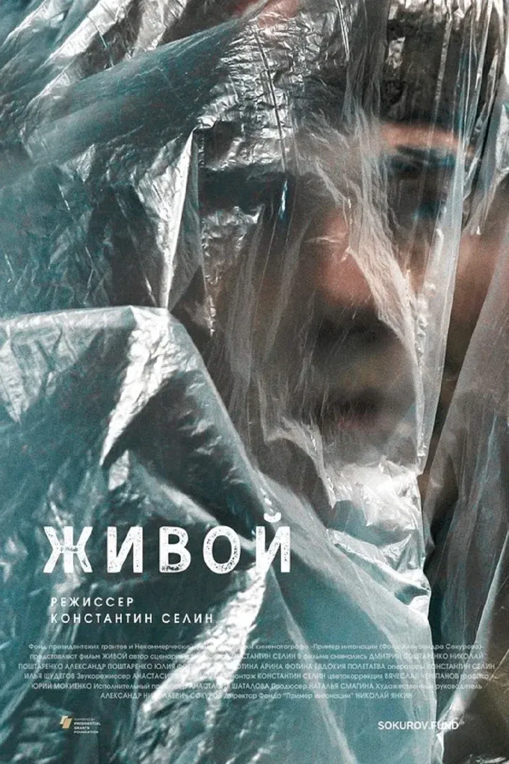 Постер фильма Живой