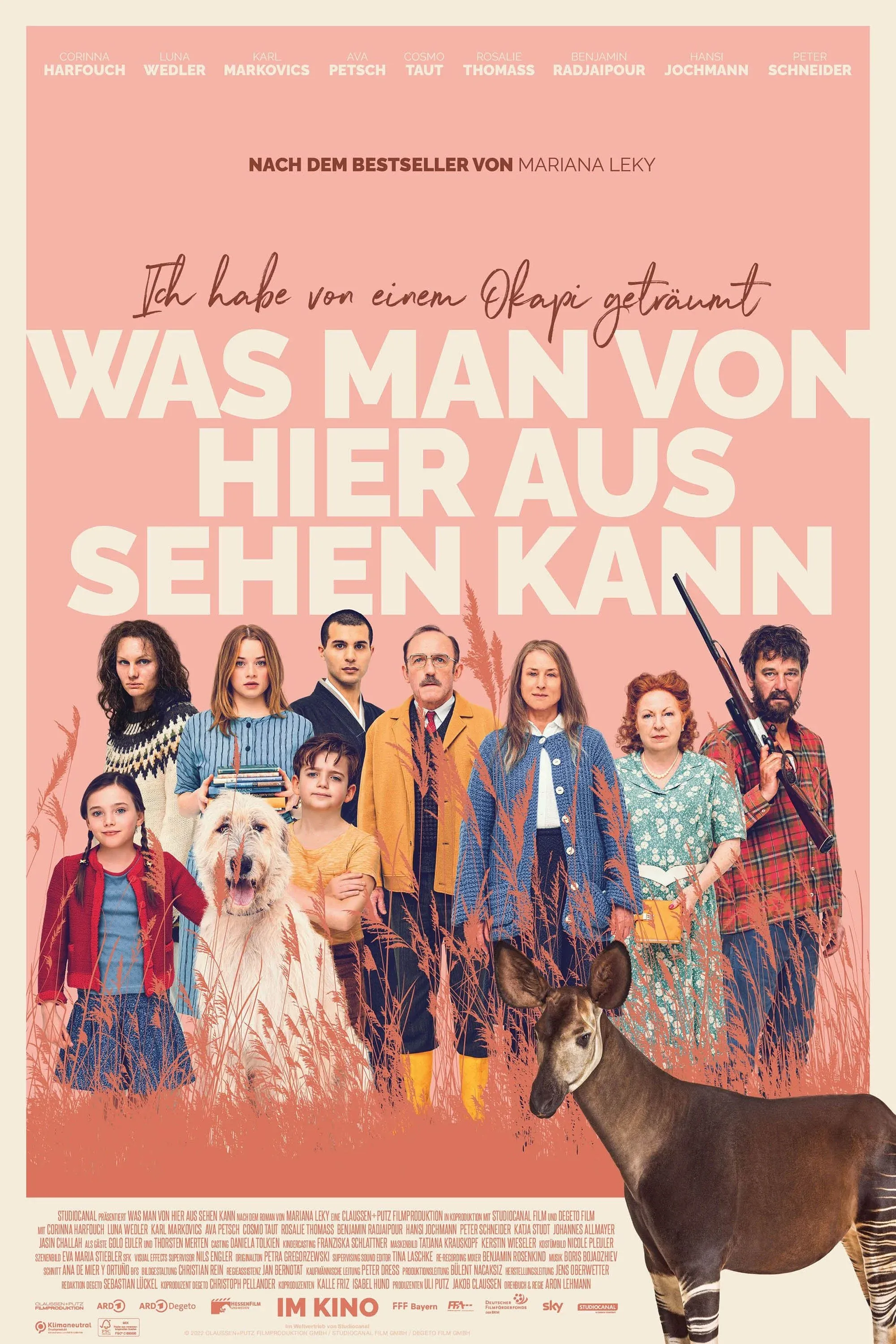 Постер фильма Что видно отсюда