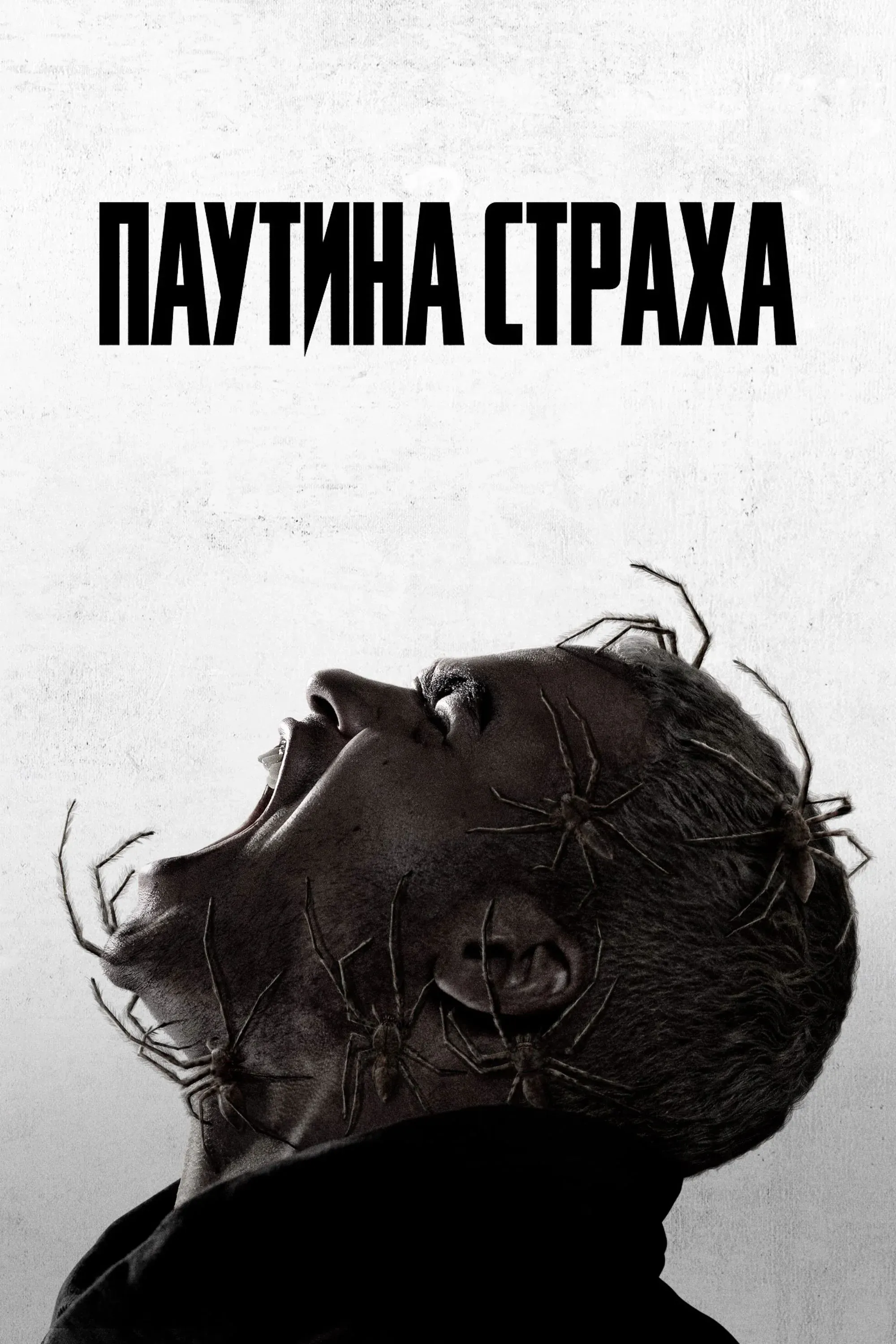Постер фильма Паутина страха