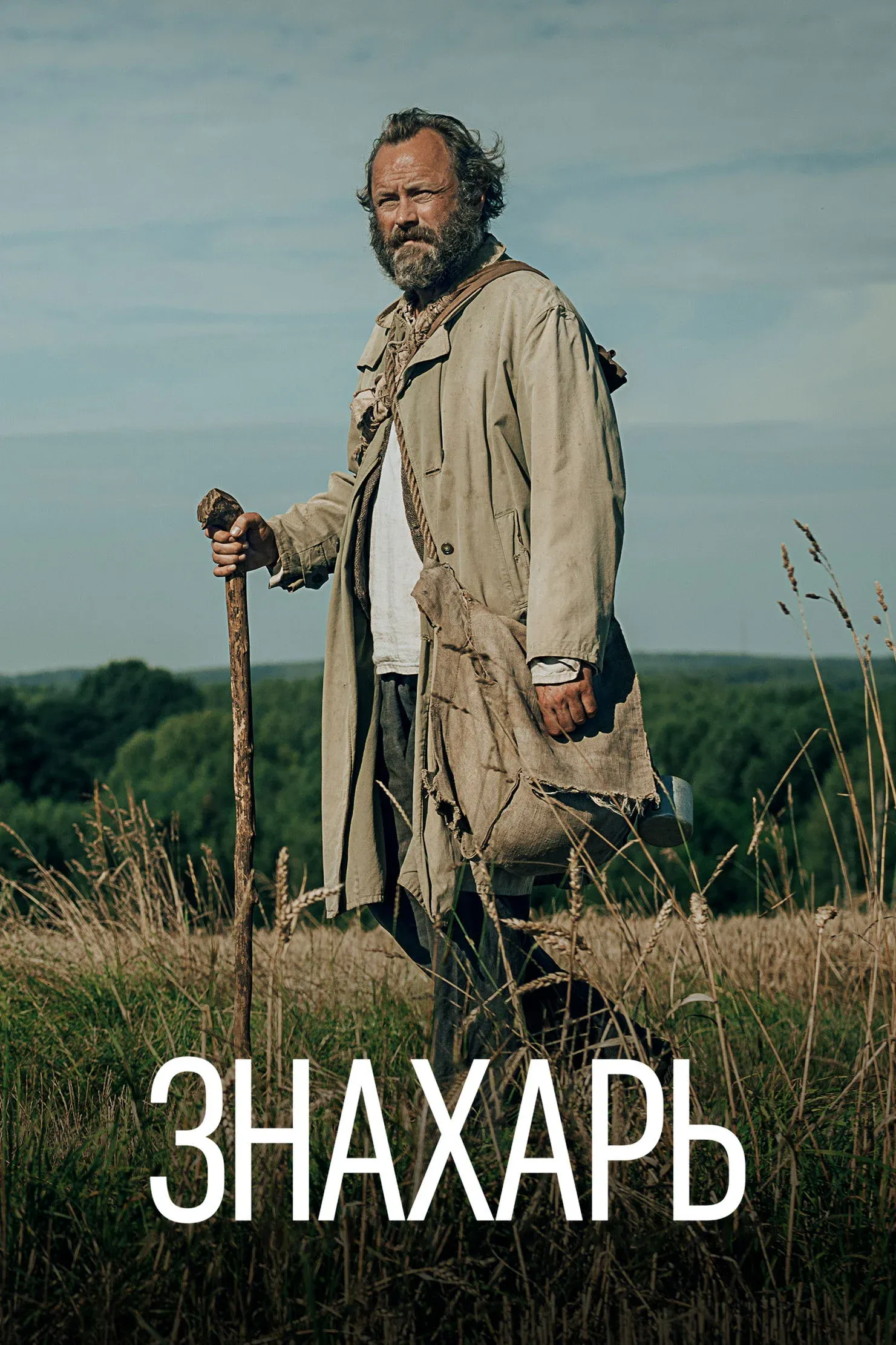 Постер фильма Знахарь