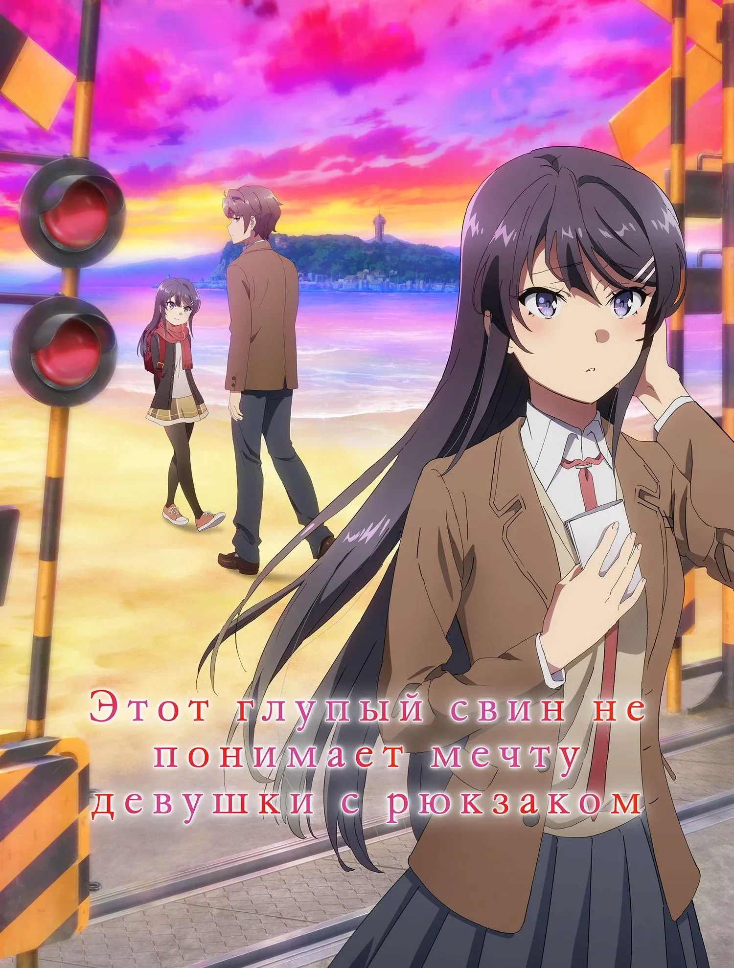 Постер фильма Этот глупый свин не понимает мечту девушки с рюкзаком