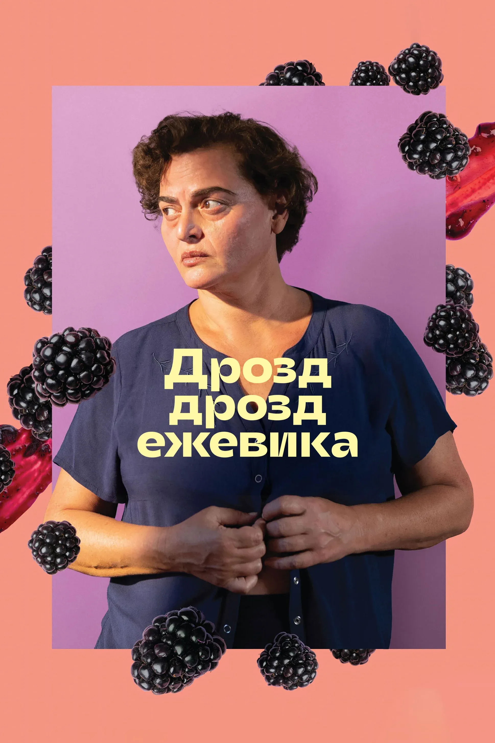 Постер фильма Дрозд дрозд ежевика