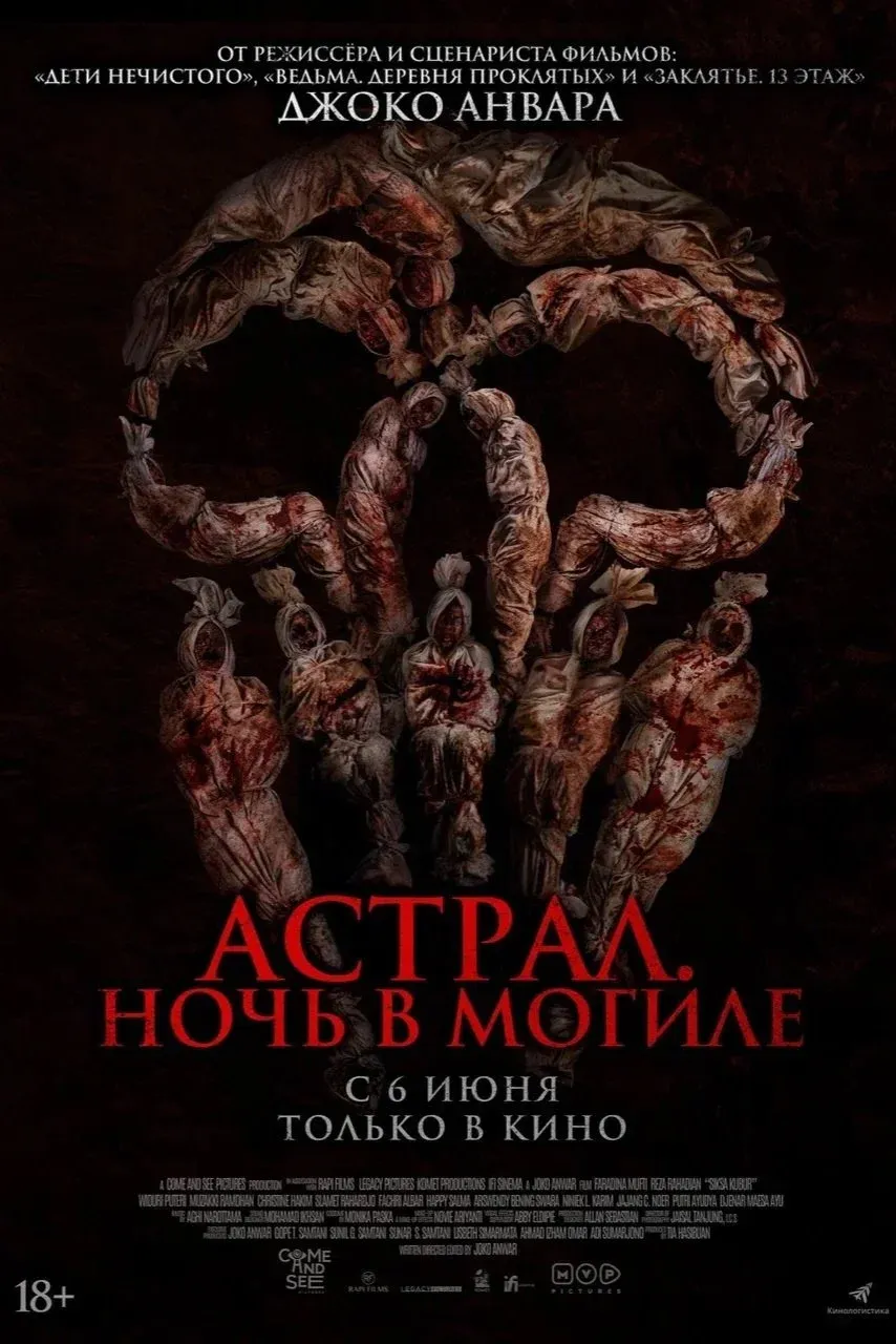 Постер фильма Астрал. Ночь в могиле