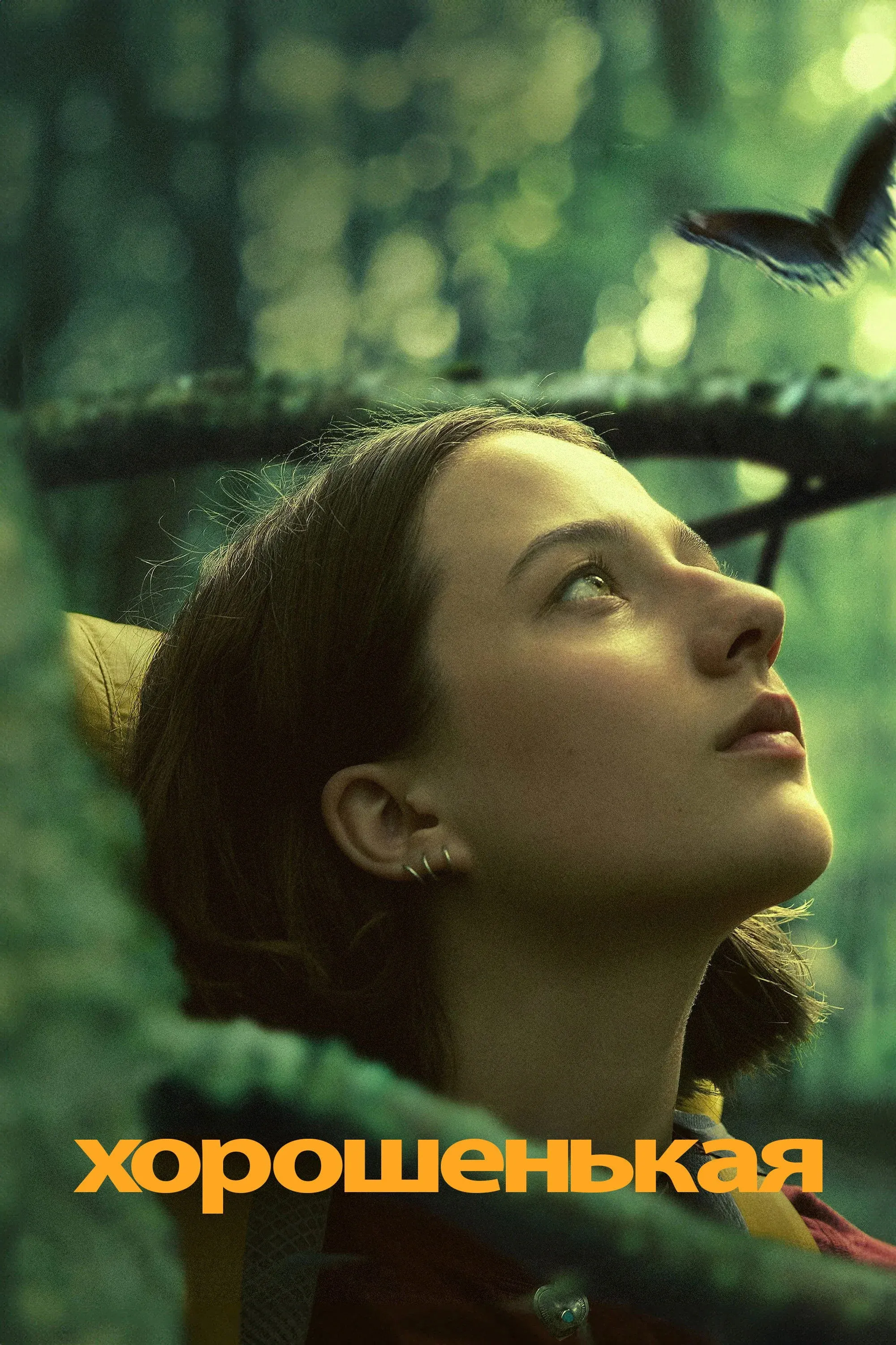 Постер фильма Хорошенькая