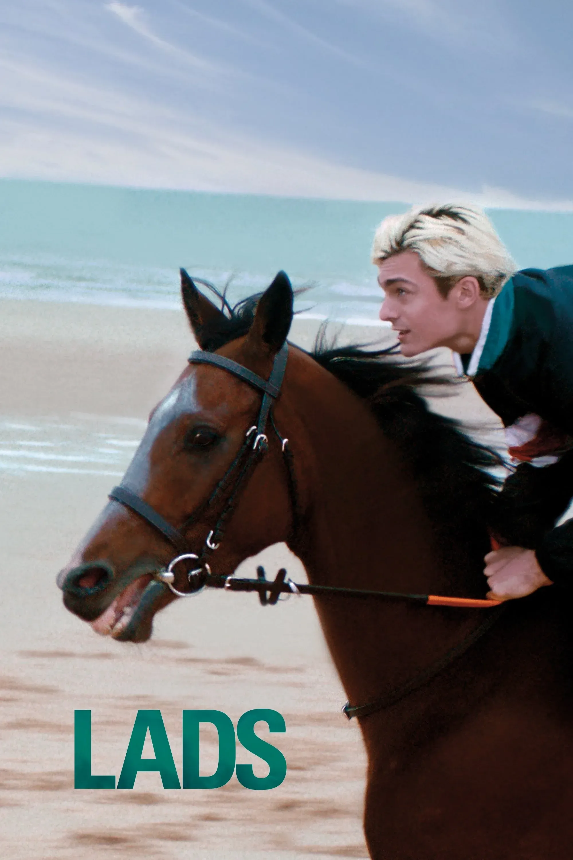 Постер фильма Конюхи