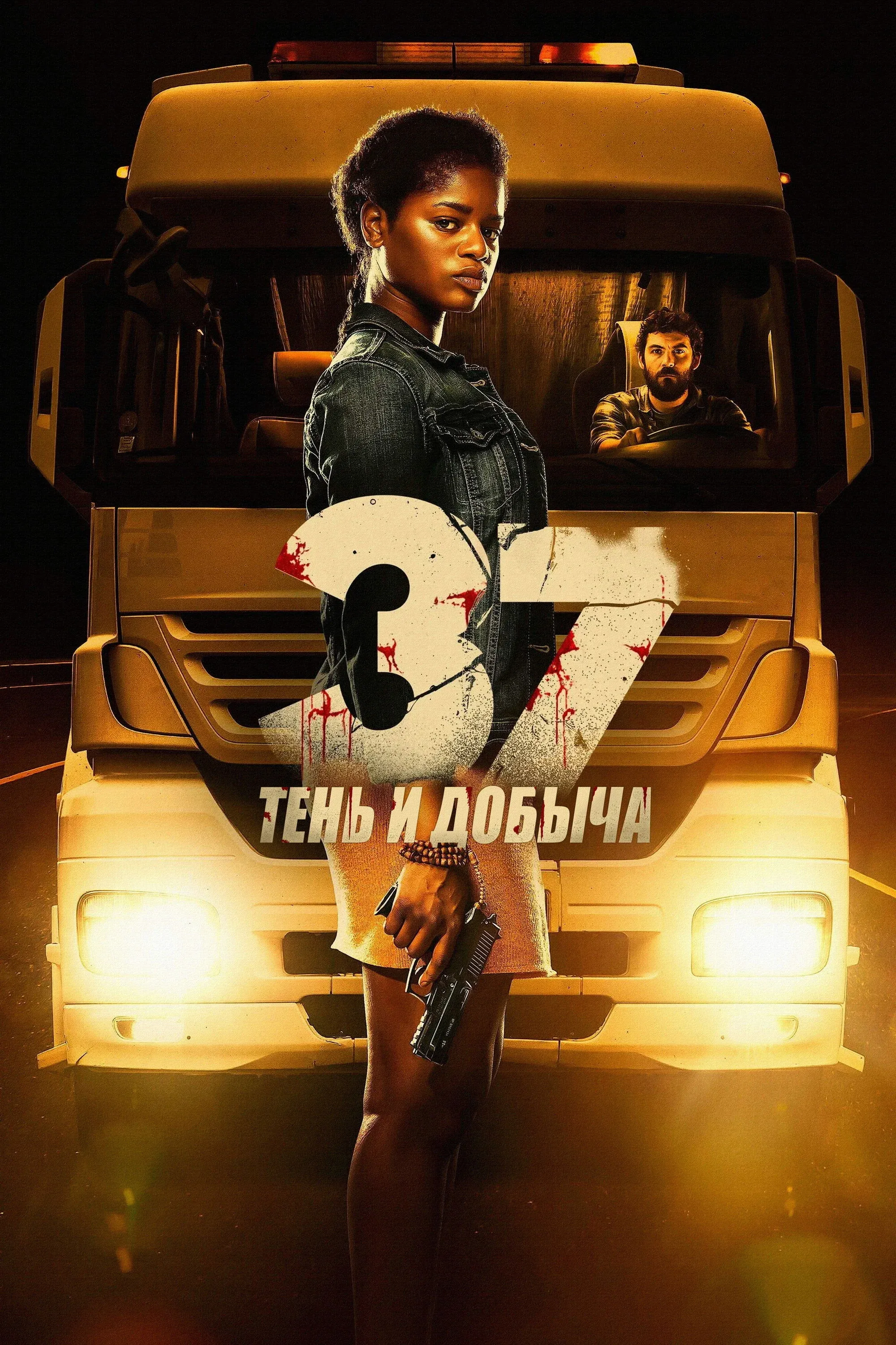 Постер фильма 37: Тень и добыча