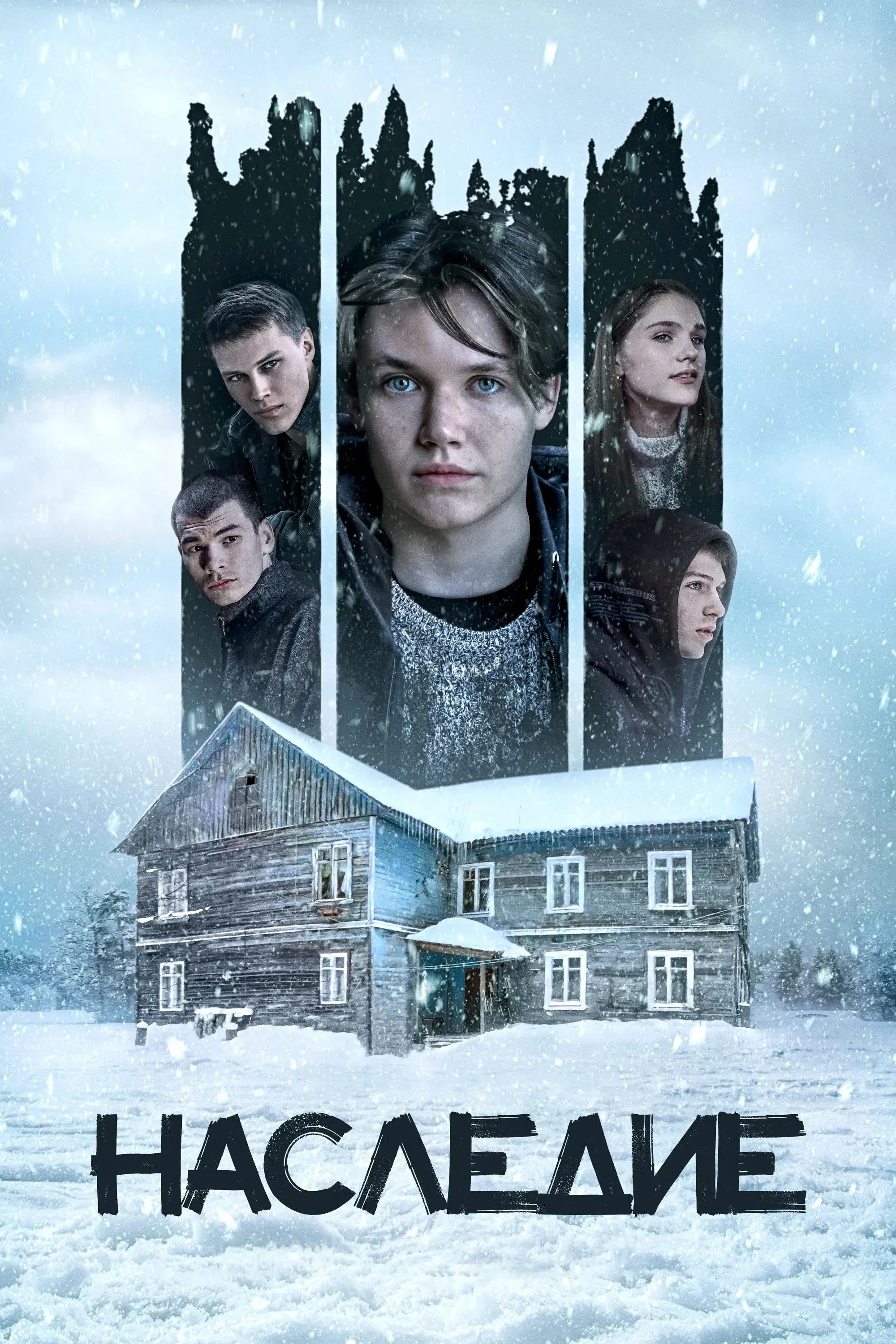 Постер фильма Наследие