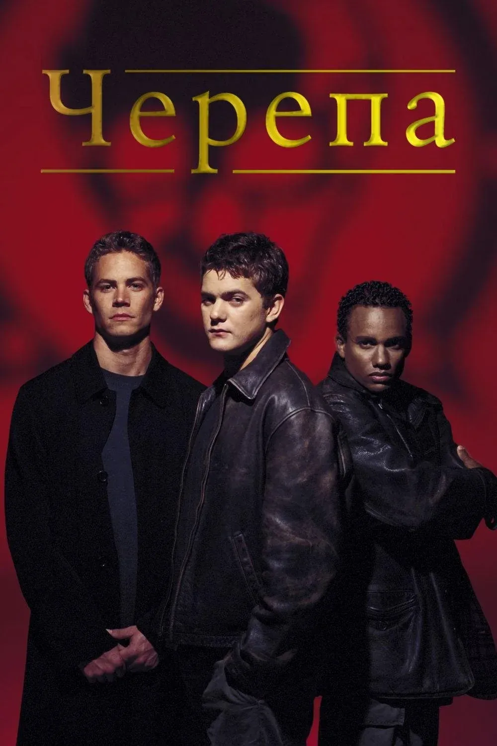 Постер фильма Черепа