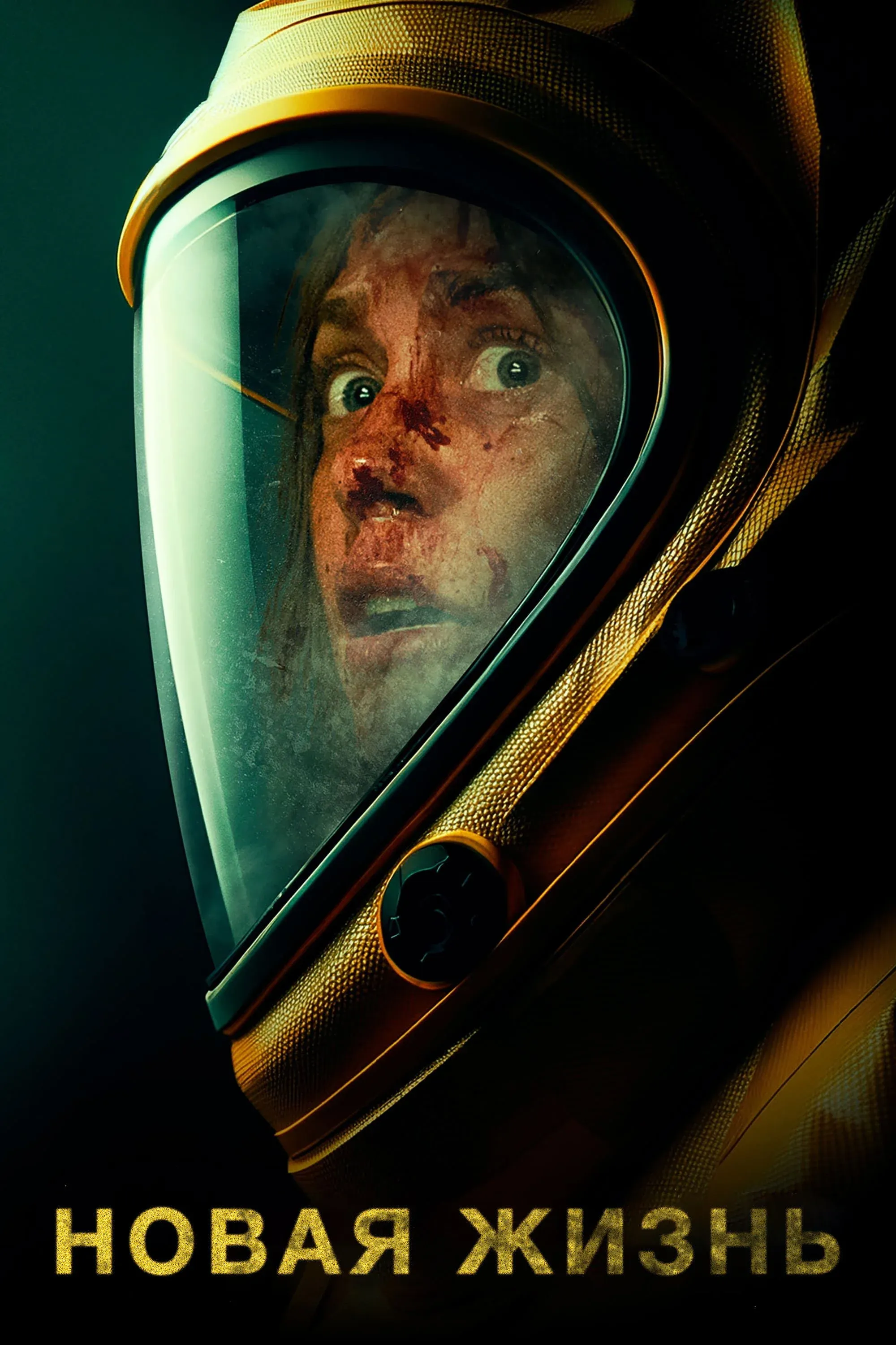 Постер фильма Новая жизнь