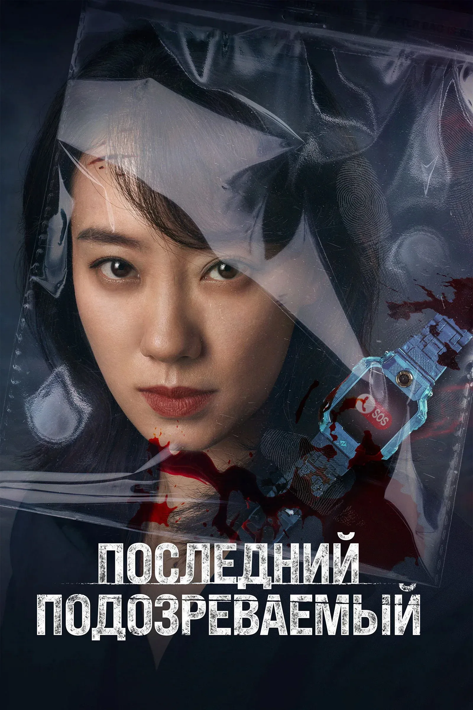 Постер фильма Последний подозреваемый