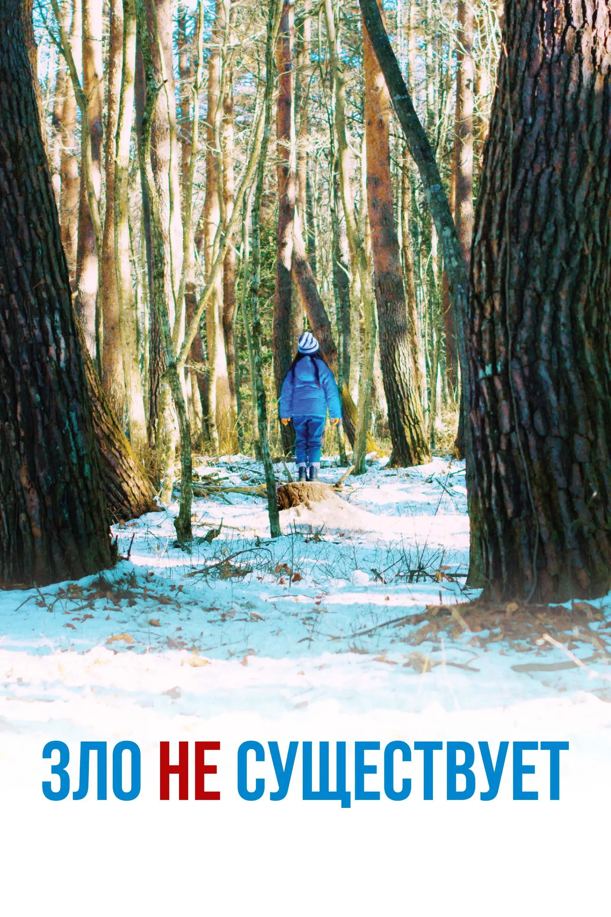 Постер фильма Зло не существует