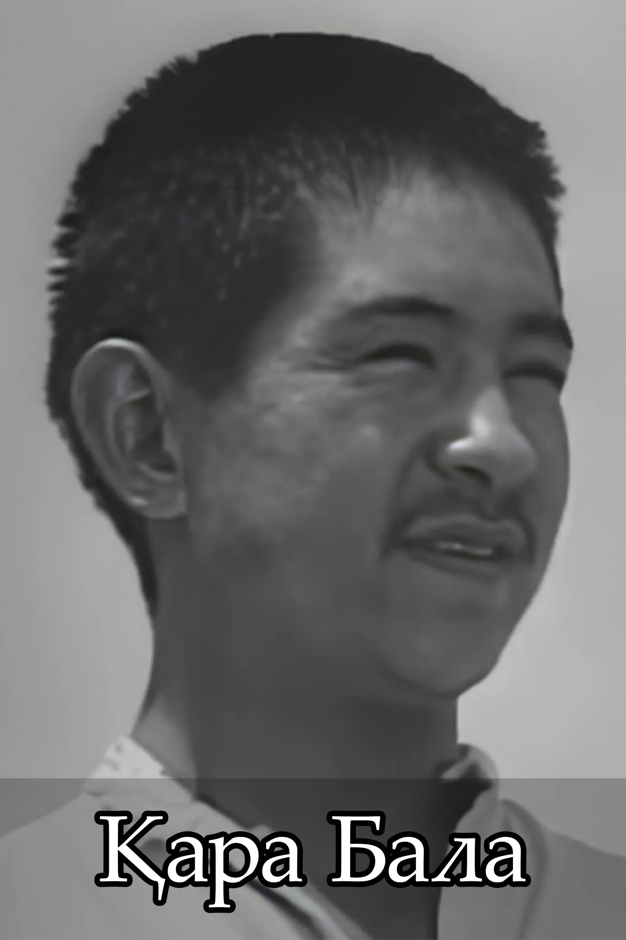 Постер фильма Черныш