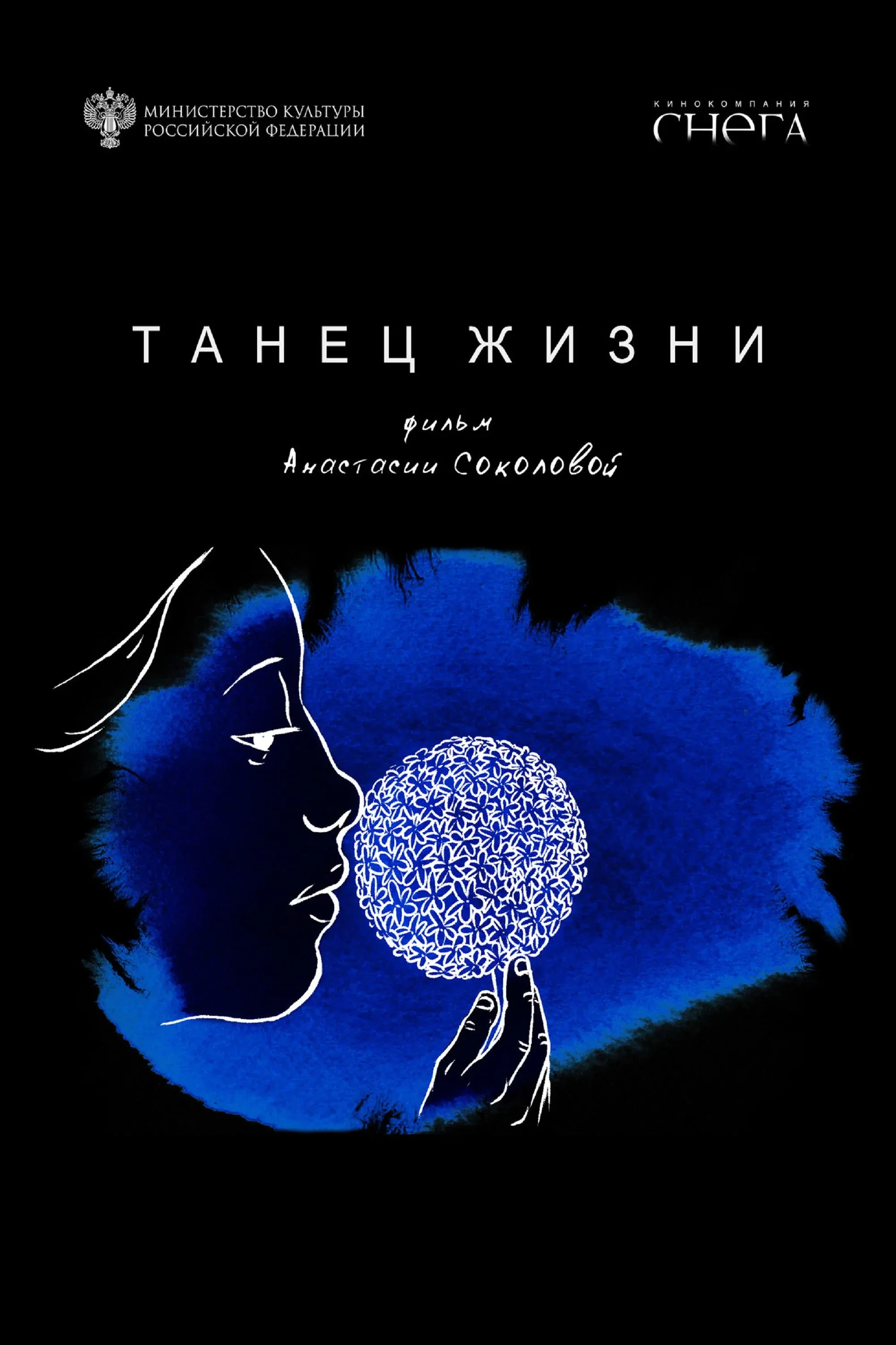 Постер фильма Танец жизни