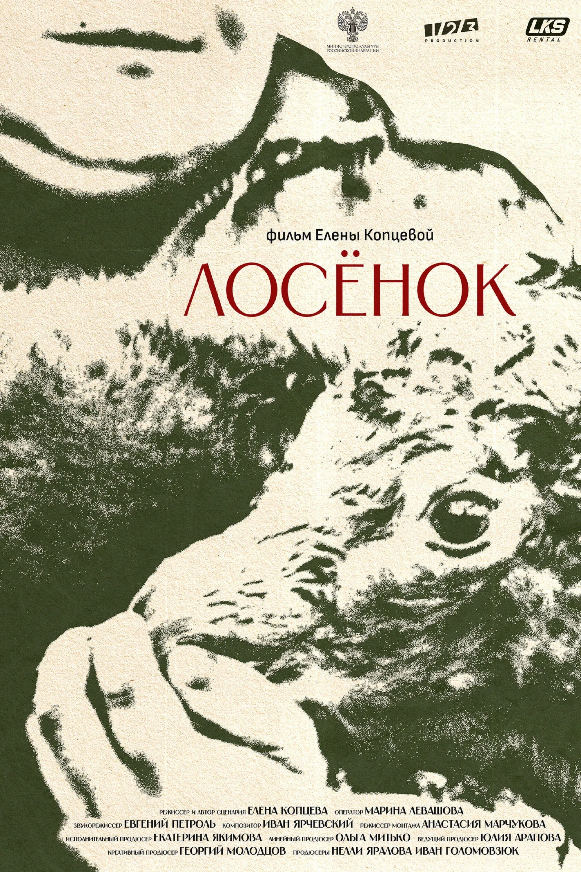 Постер фильма Лосёнок