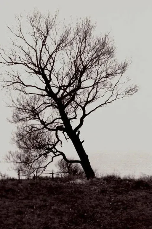 Постер фильма Разрушенный берег