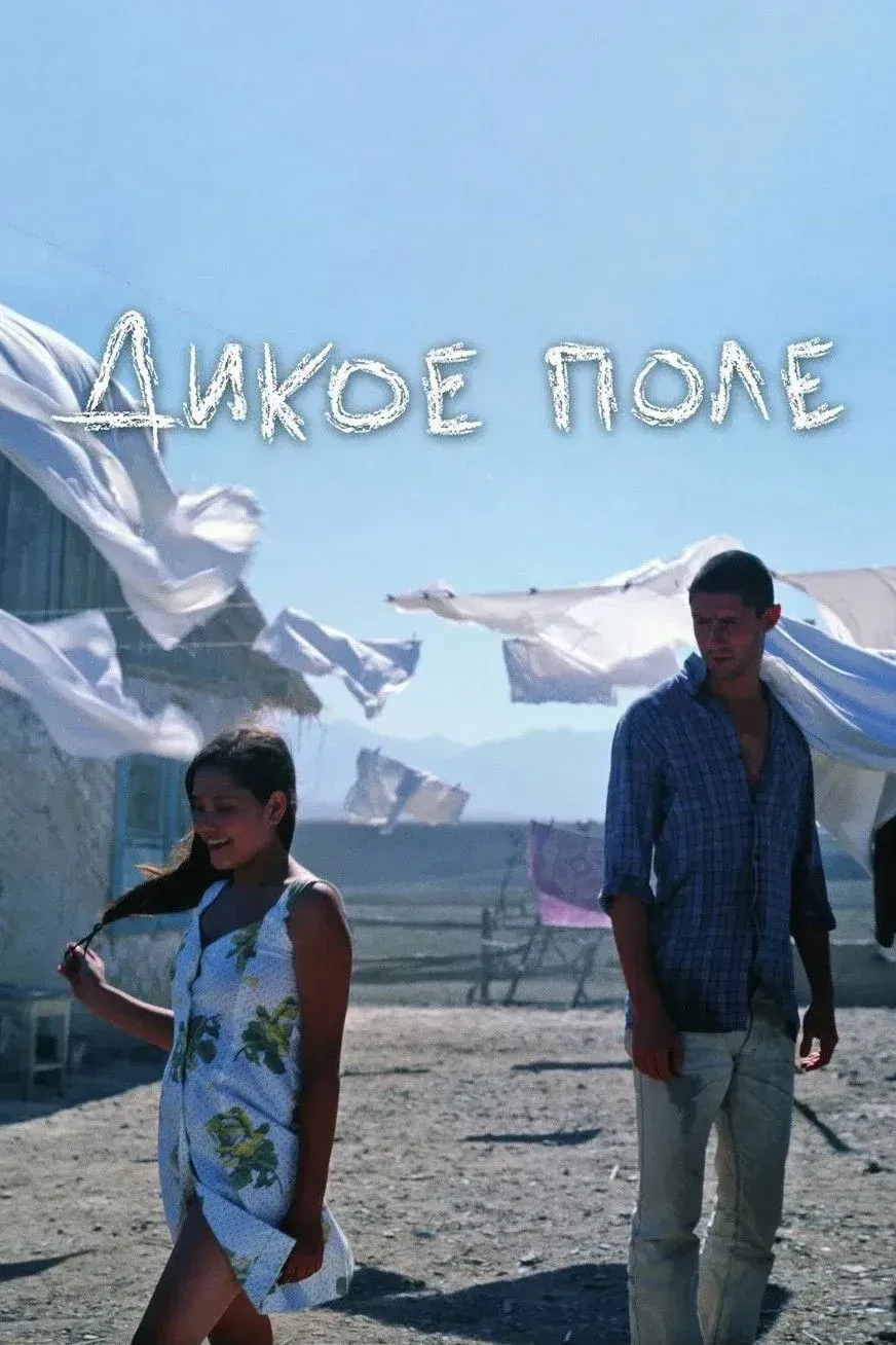 Постер фильма Дикое поле