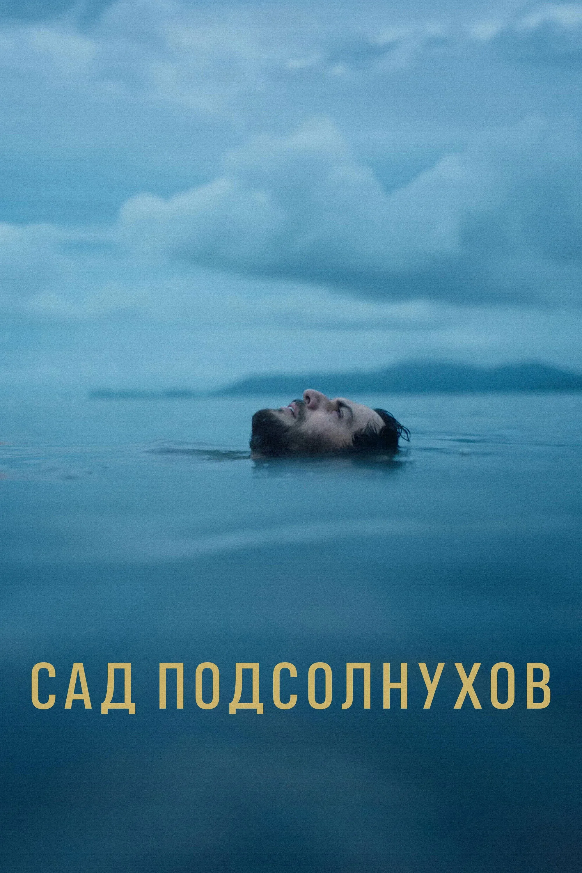 Постер фильма Сад подсолнухов