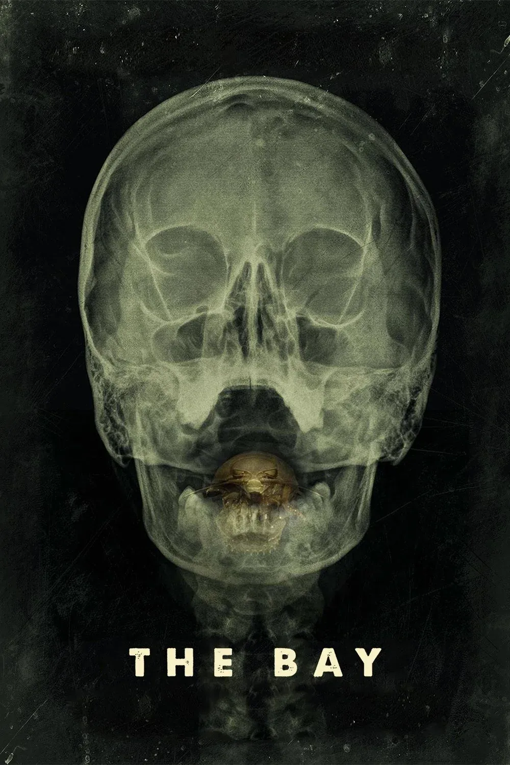 Постер фильма Залив