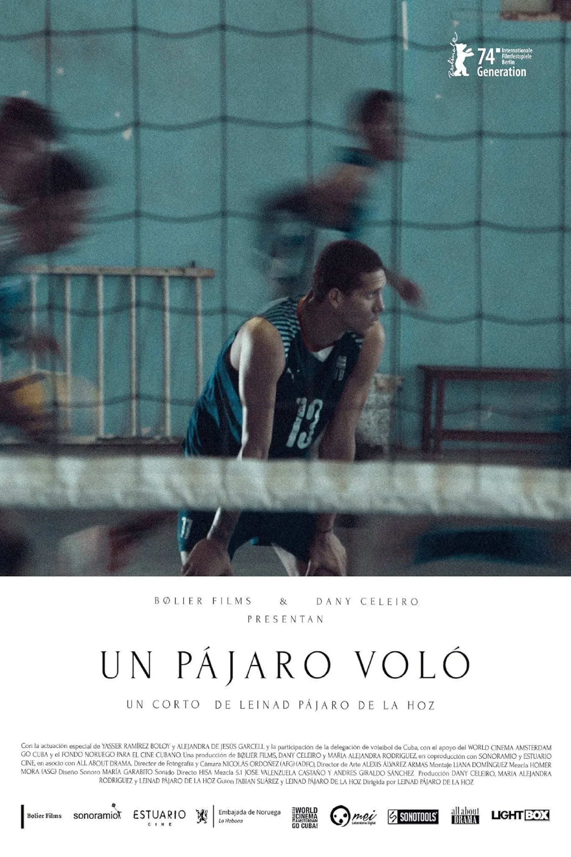 Постер фильма Птица улетела