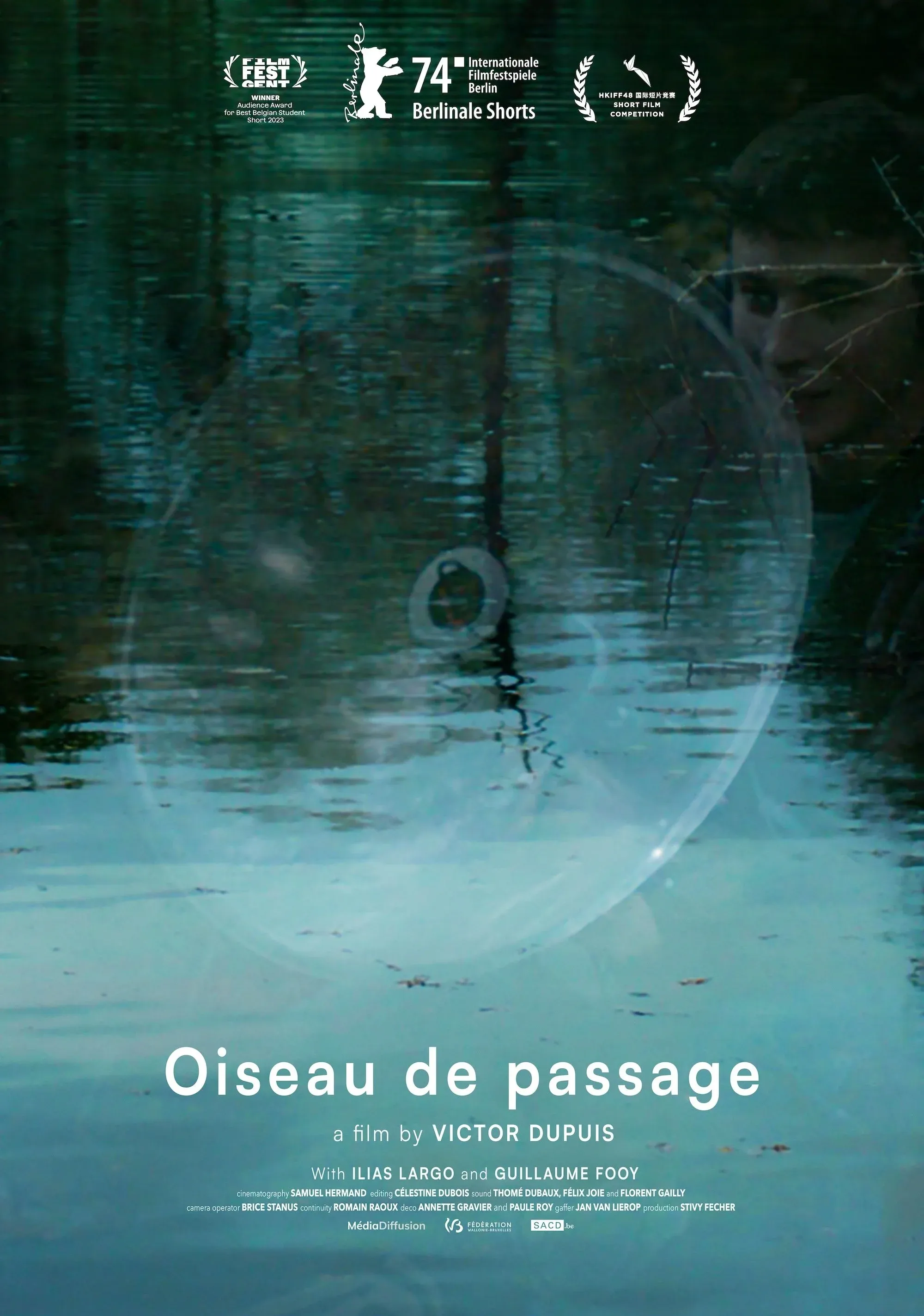 Постер фильма Перелетная птица