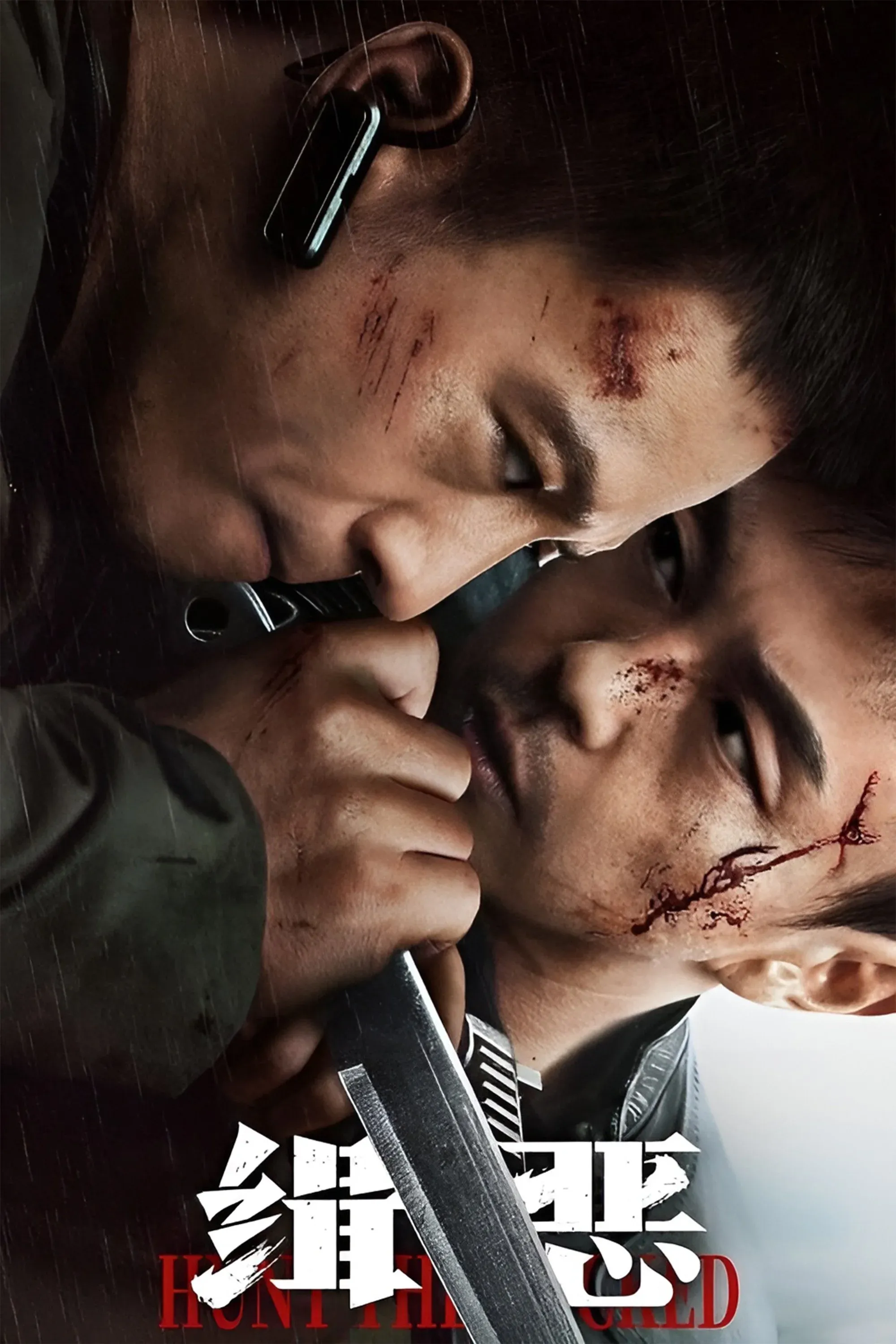 Постер фильма Охота на злодеев