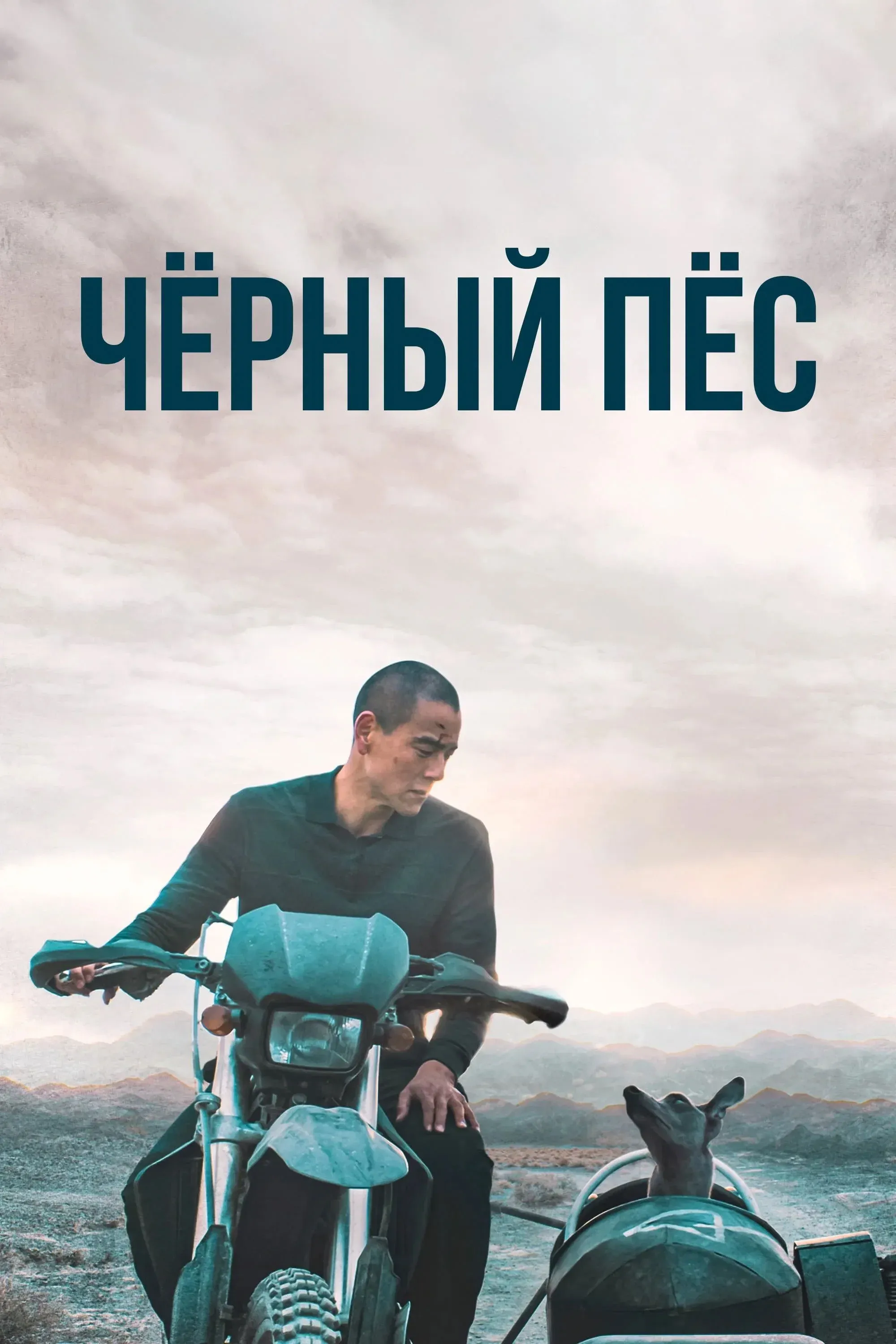 Постер фильма Чёрный пёс