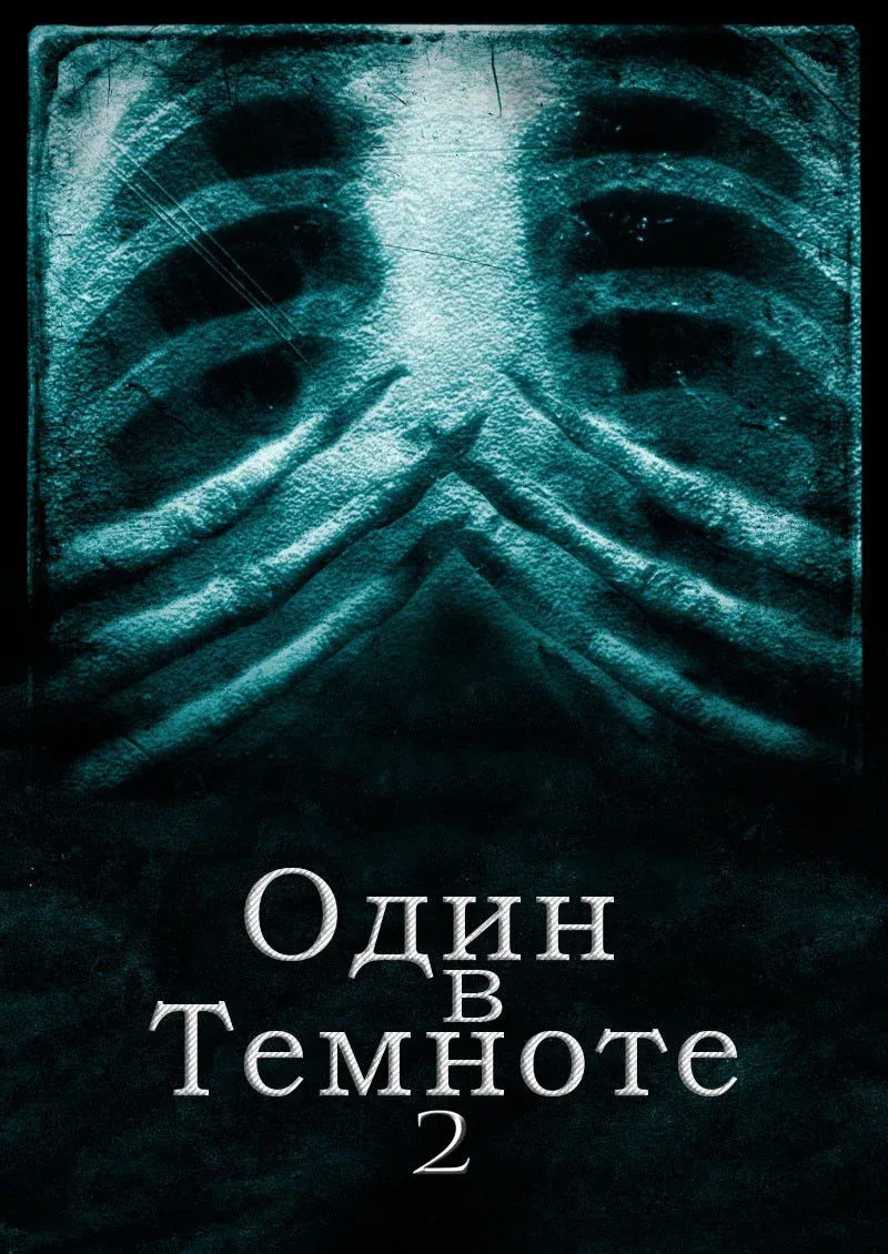 Постер фильма Один в темноте 2