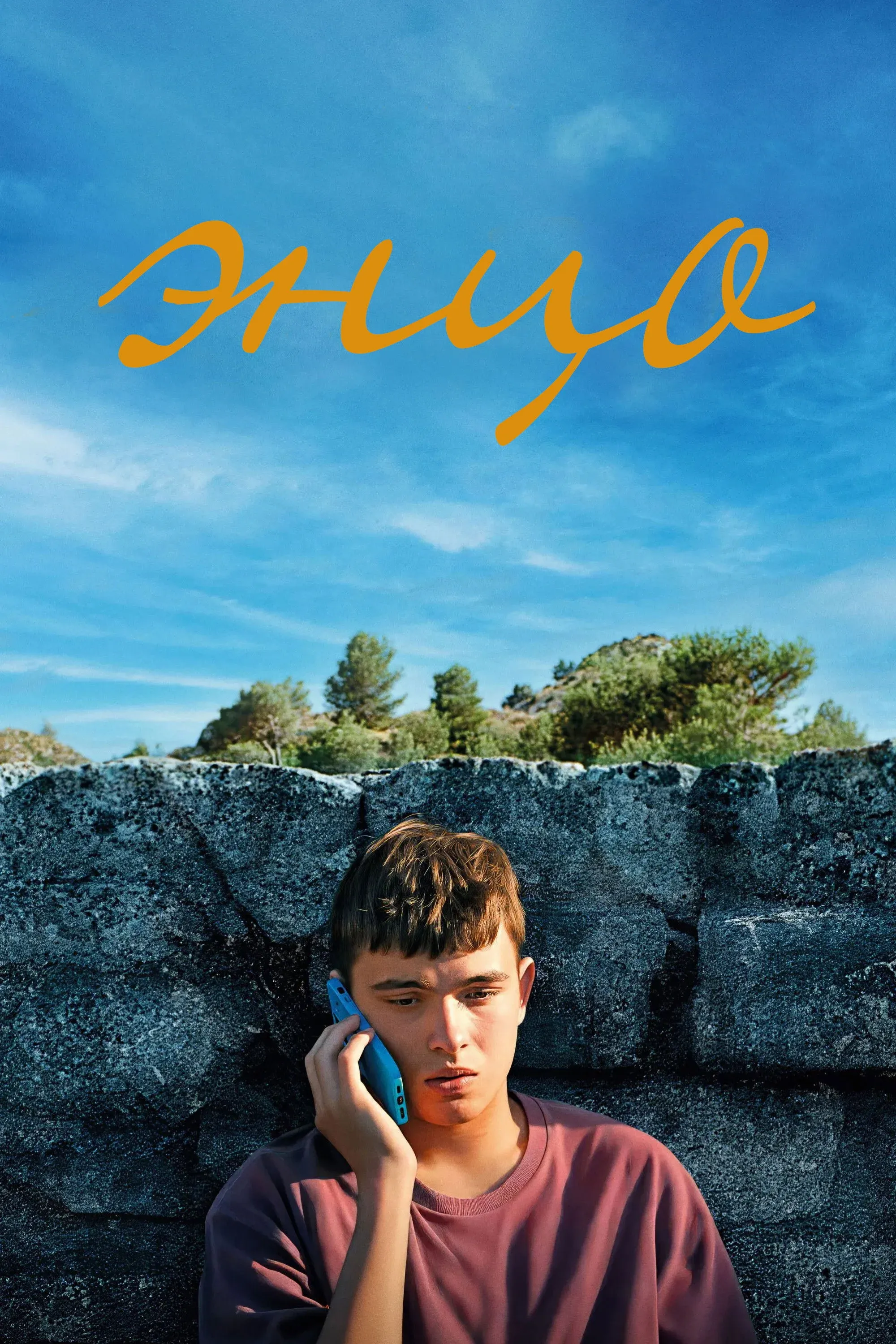 Постер фильма Энцо