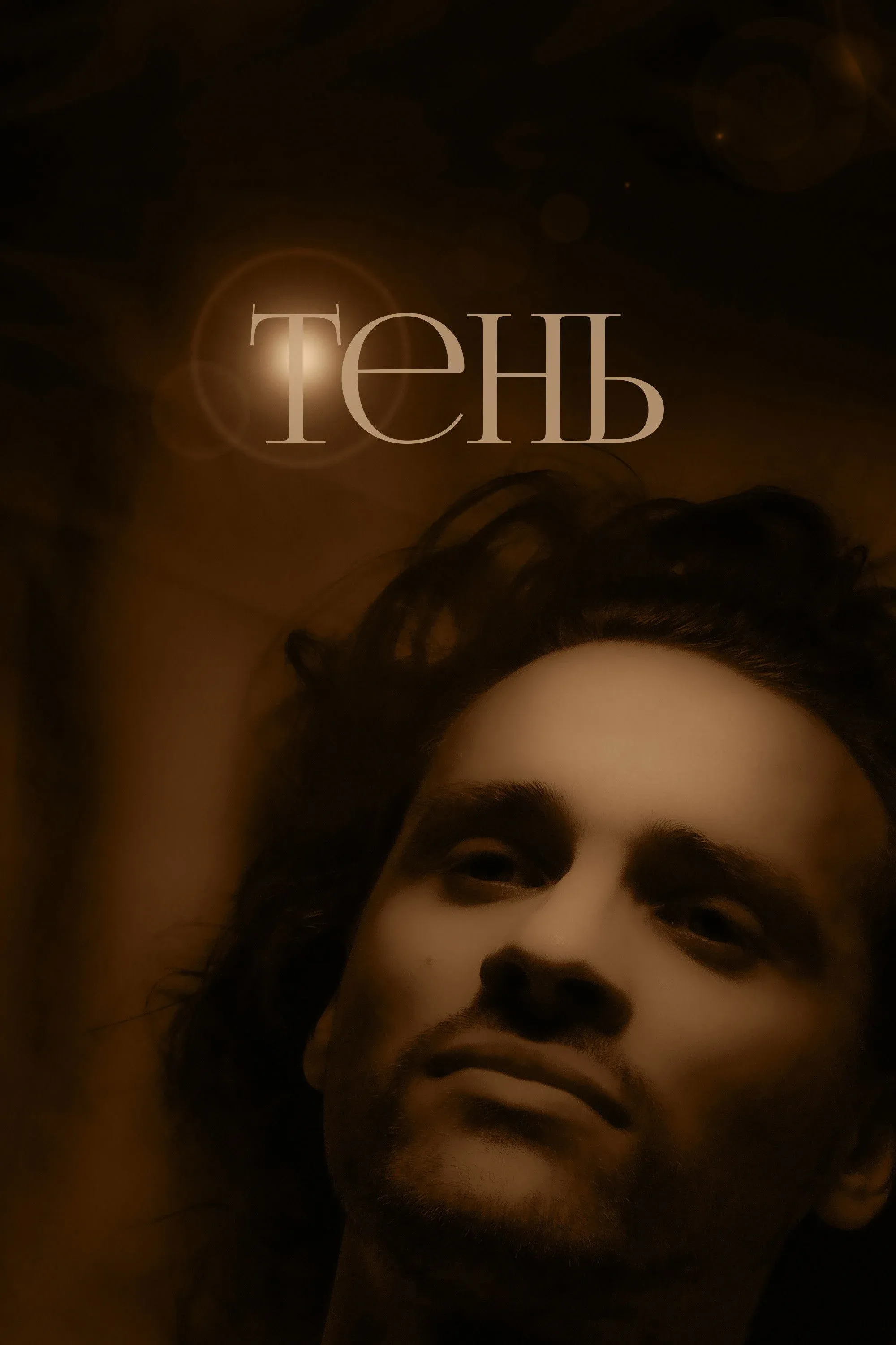 Постер фильма Тень