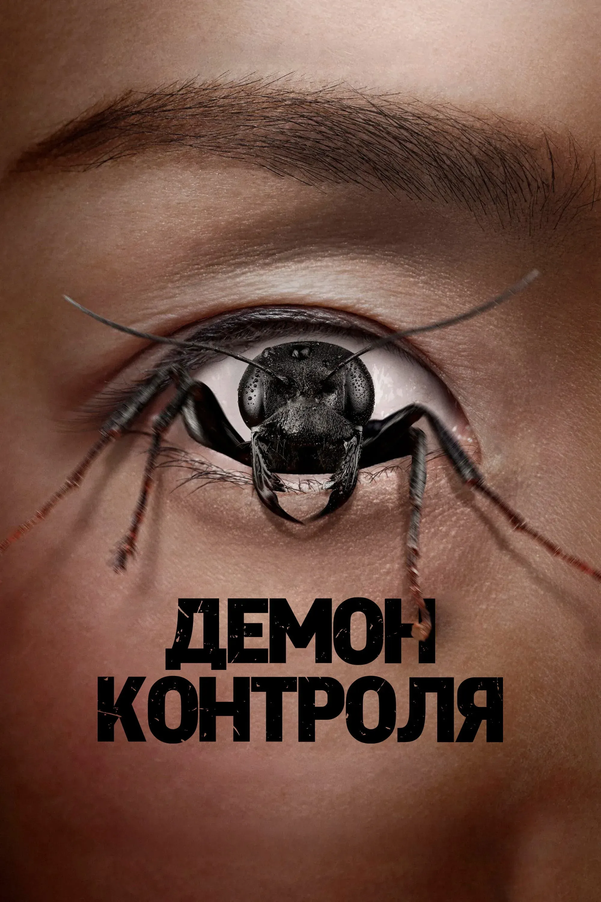 Постер фильма Демон контроля