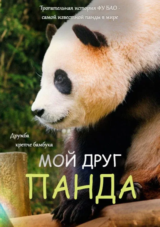 Постер фильма Мой друг панда