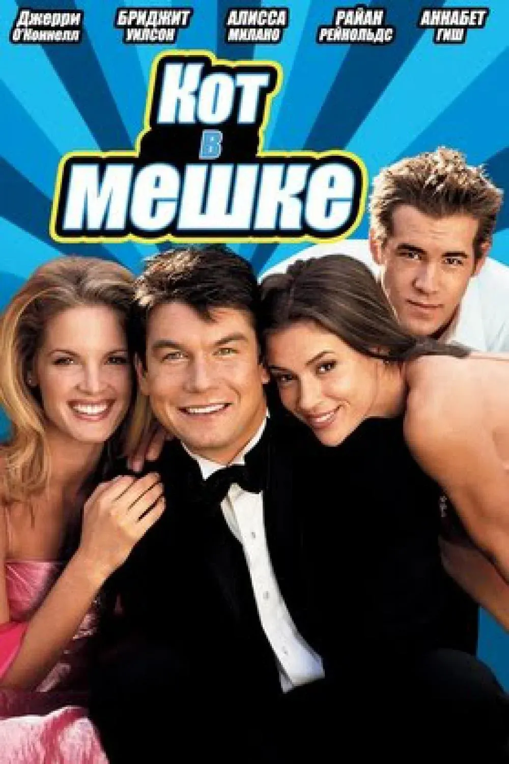 Постер фильма Кот в мешке