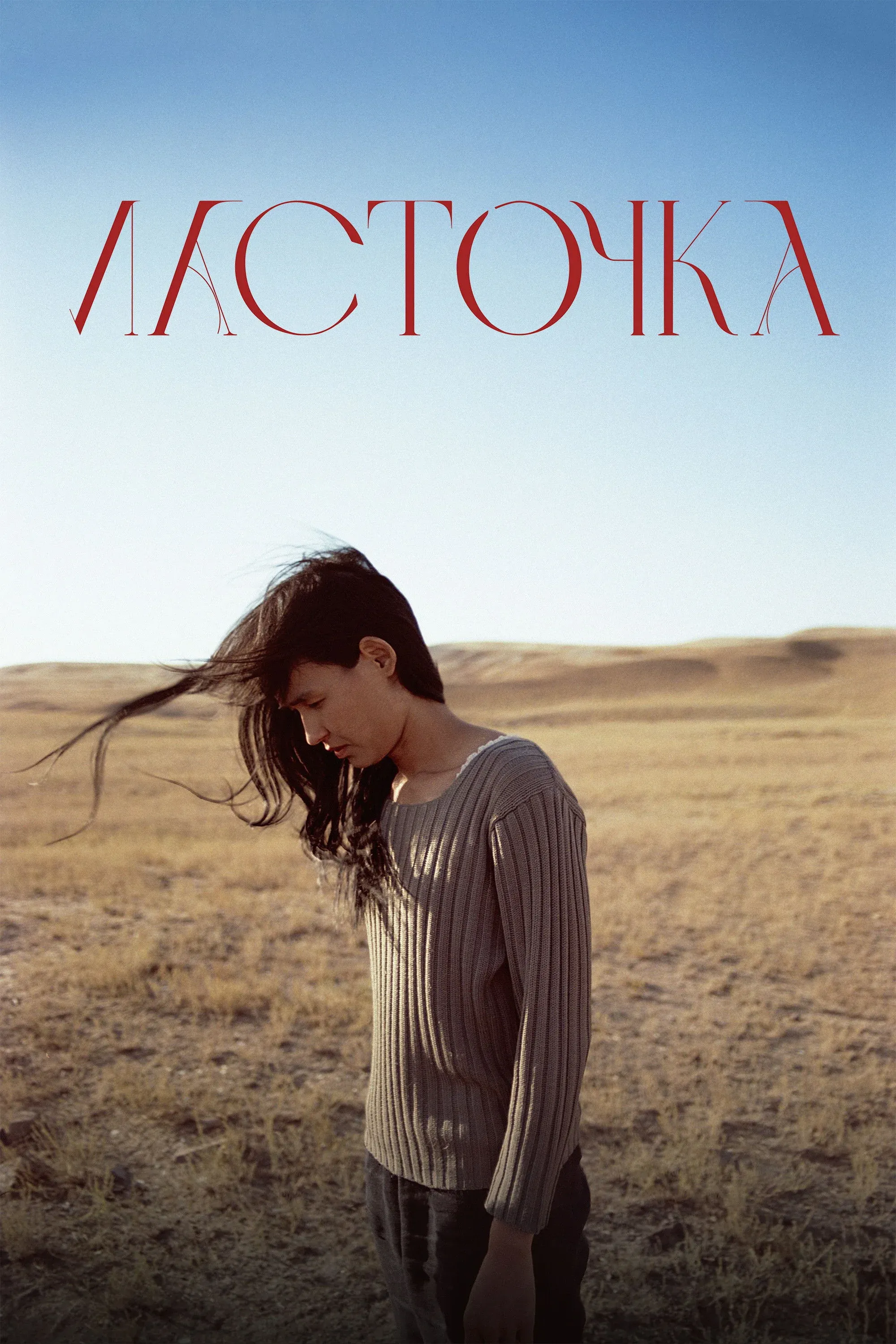 Постер фильма Ласточка