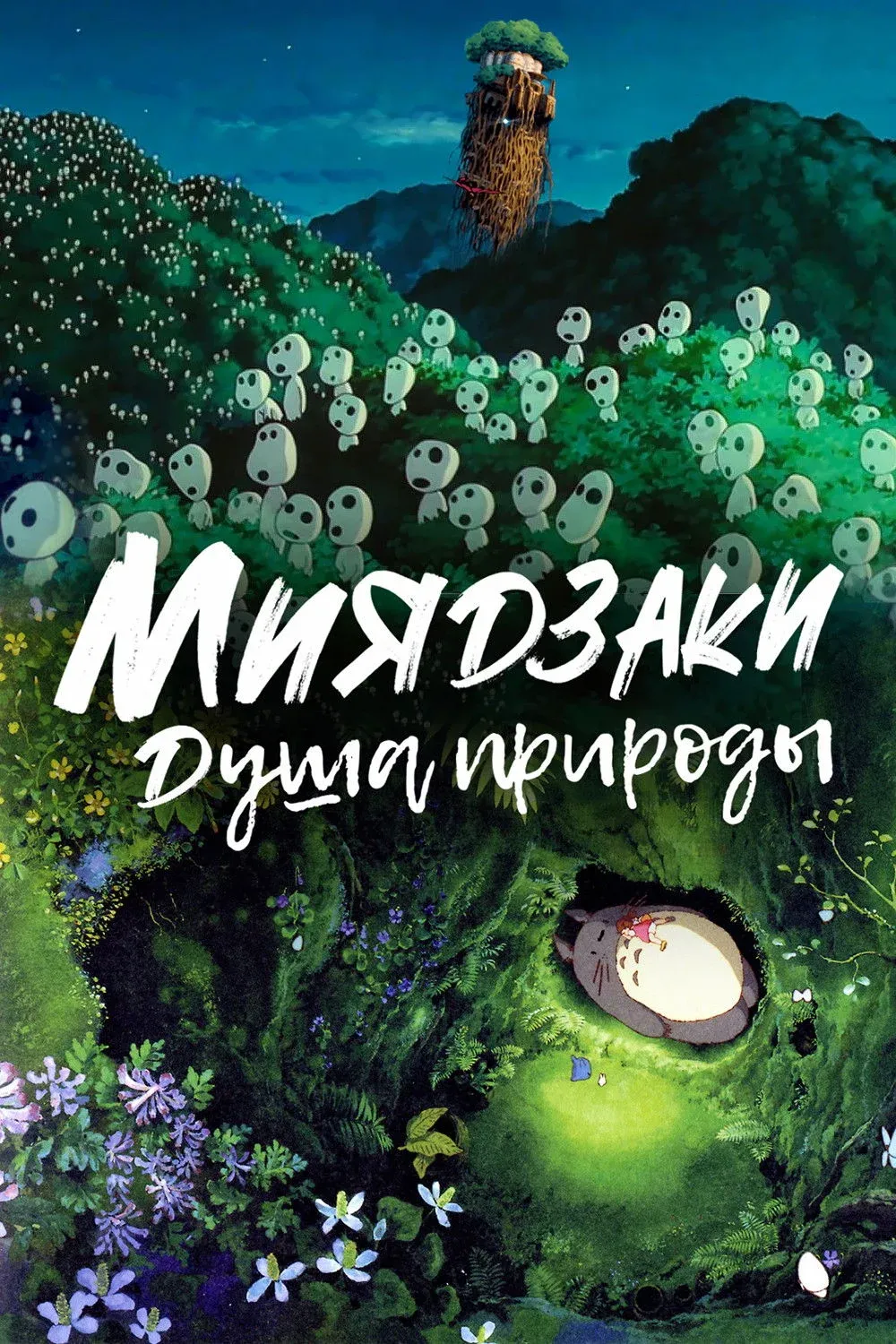 Постер фильма Миядзаки: Душа природы