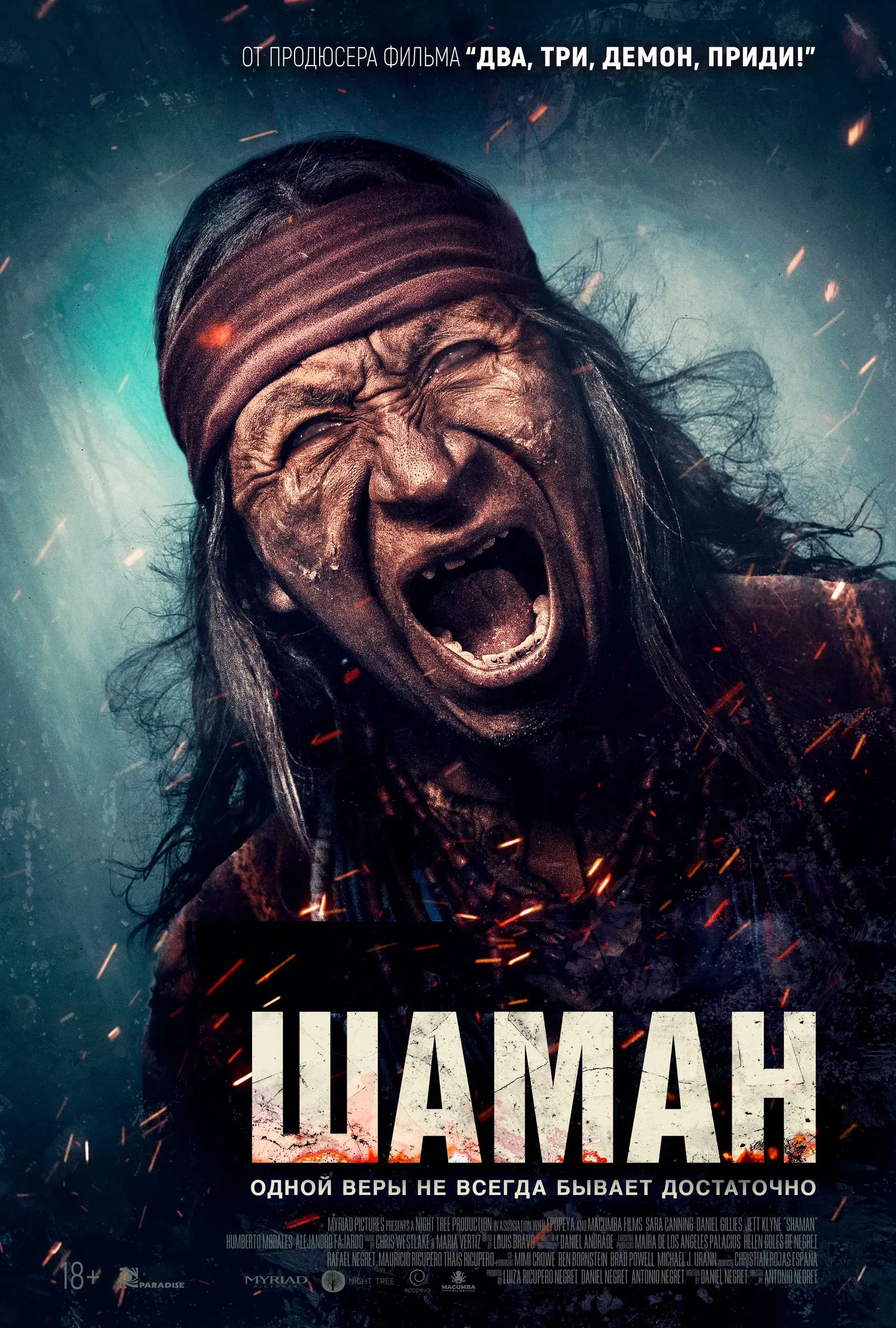 Постер фильма Шаман