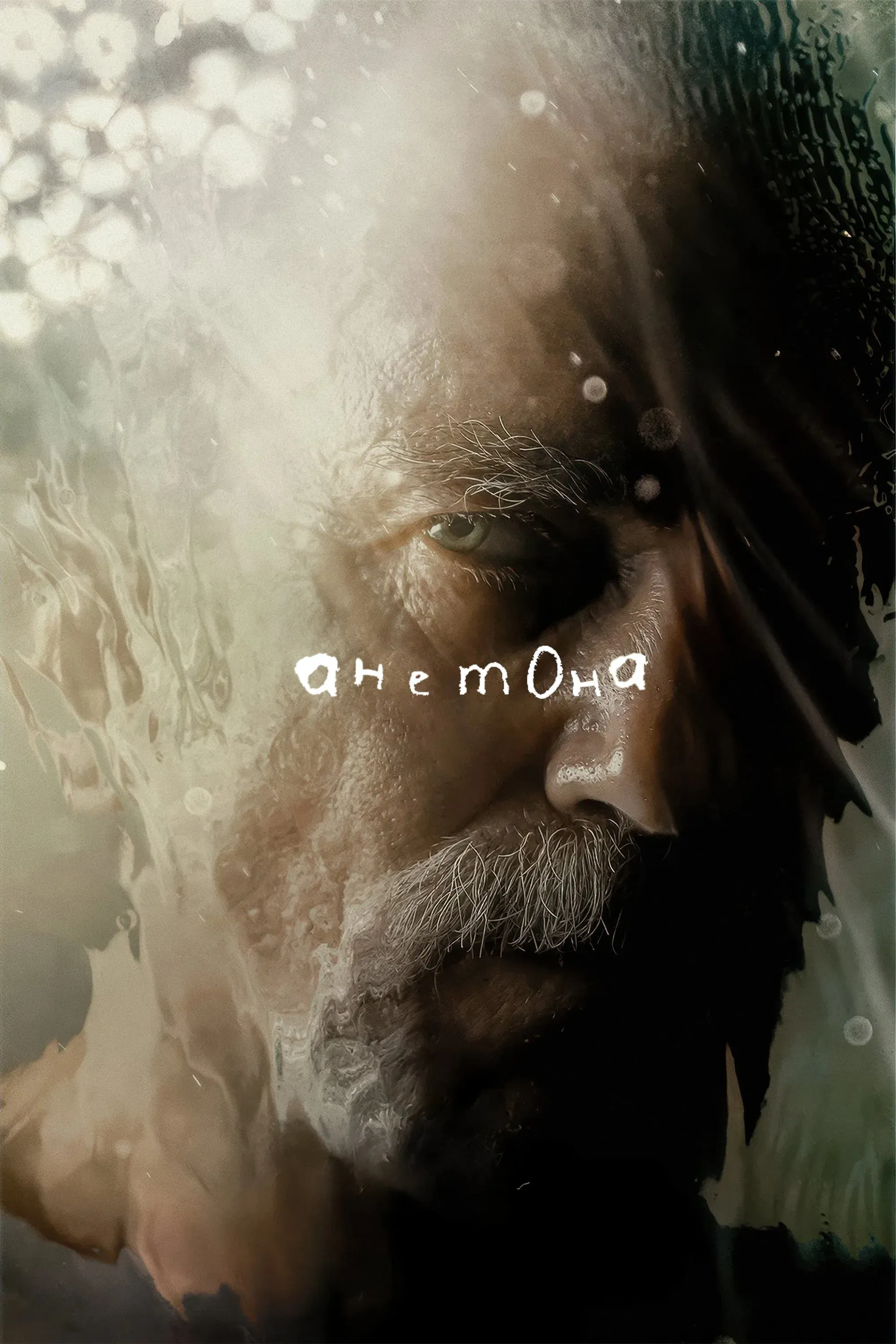 Постер фильма Анемона