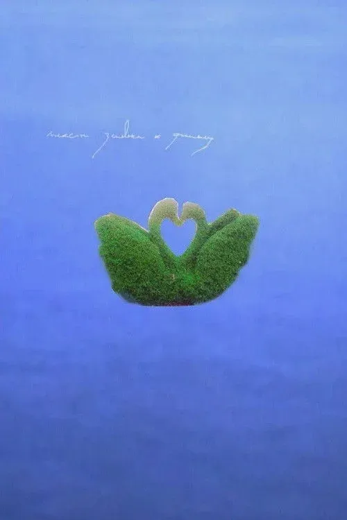 Постер фильма Текст заявки к фильму