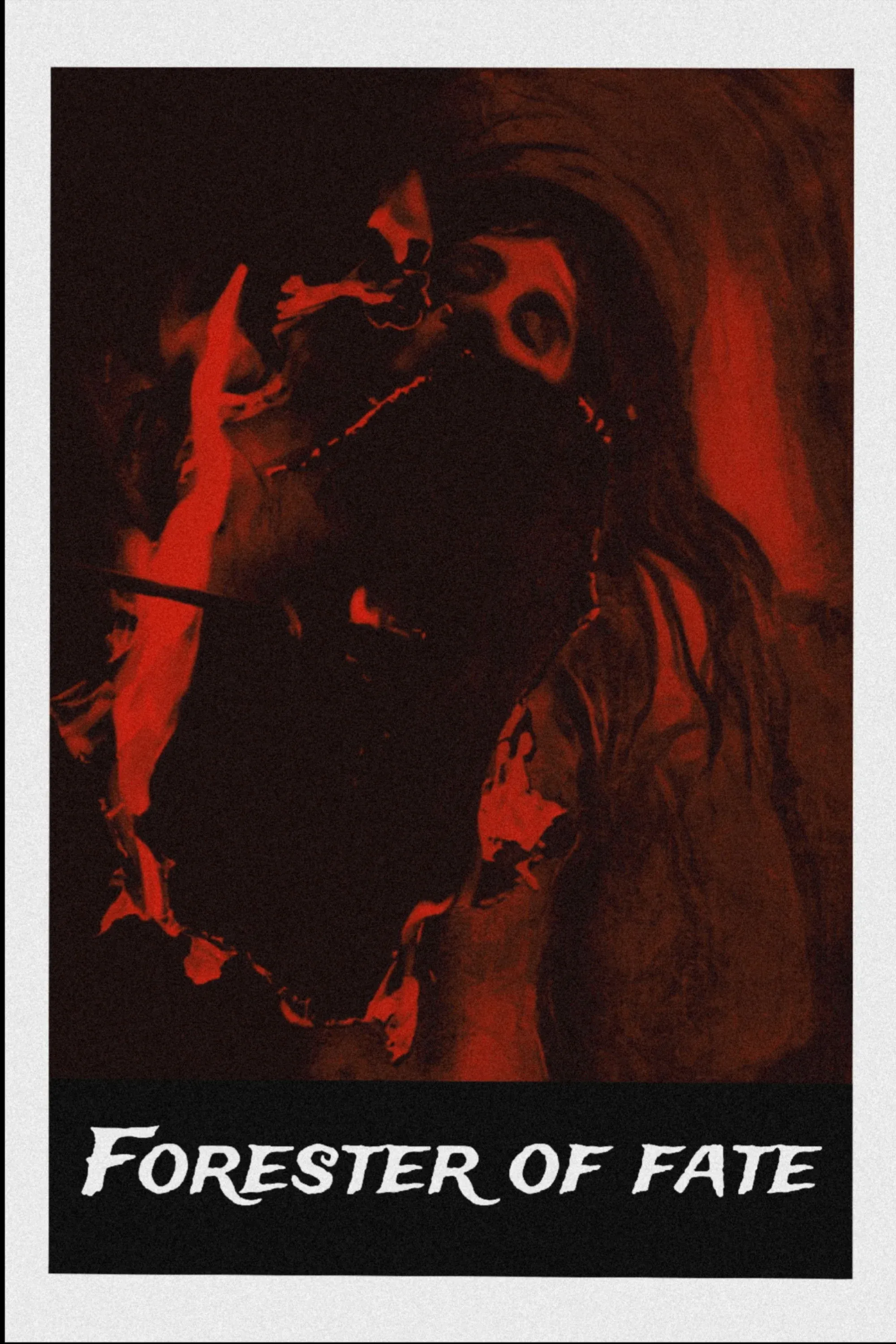 Постер фильма Лесник судьбы