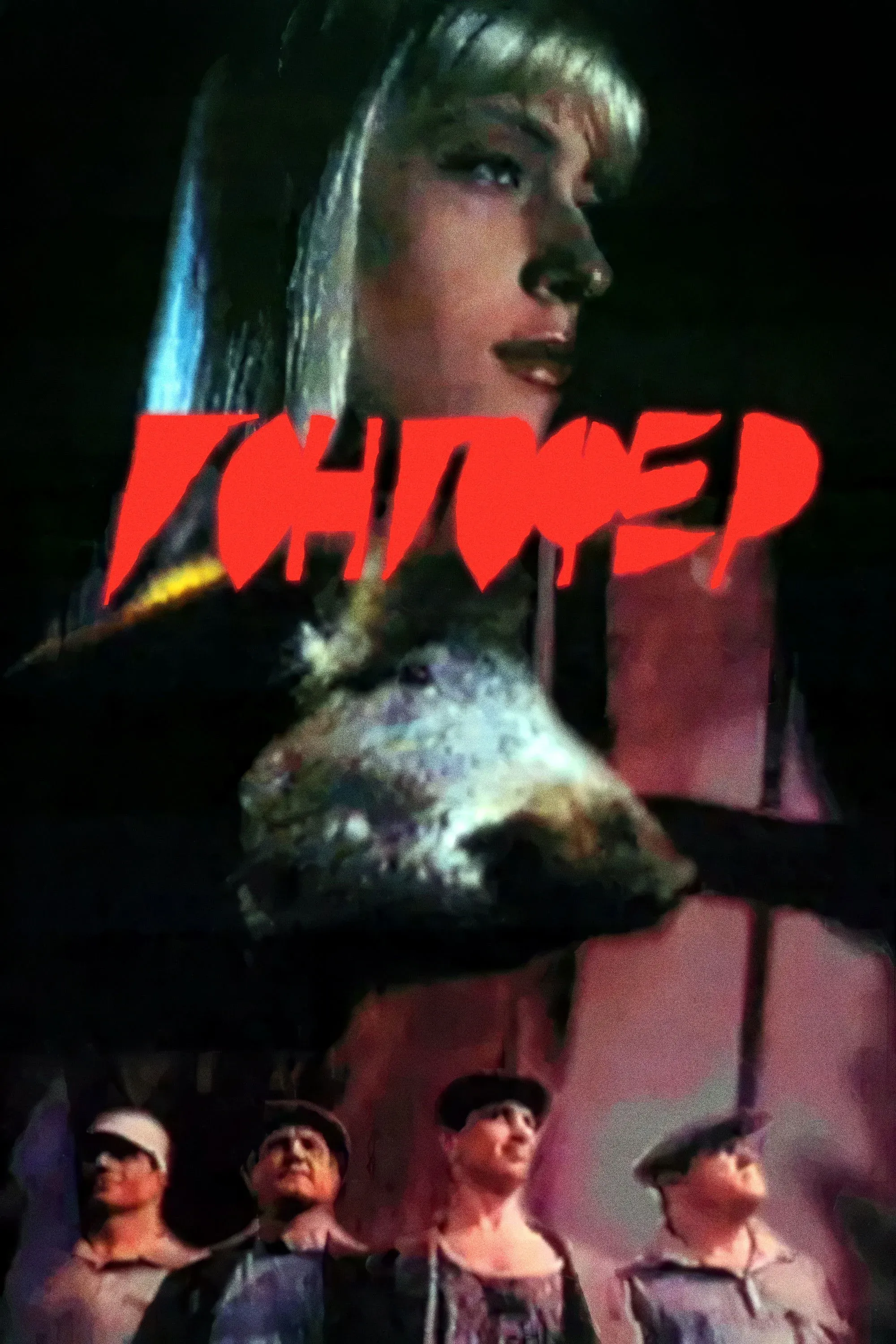 Постер фильма Гонгофер