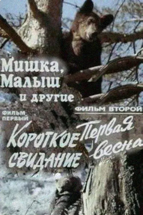 Постер фильма Мишка, Малыш и другие