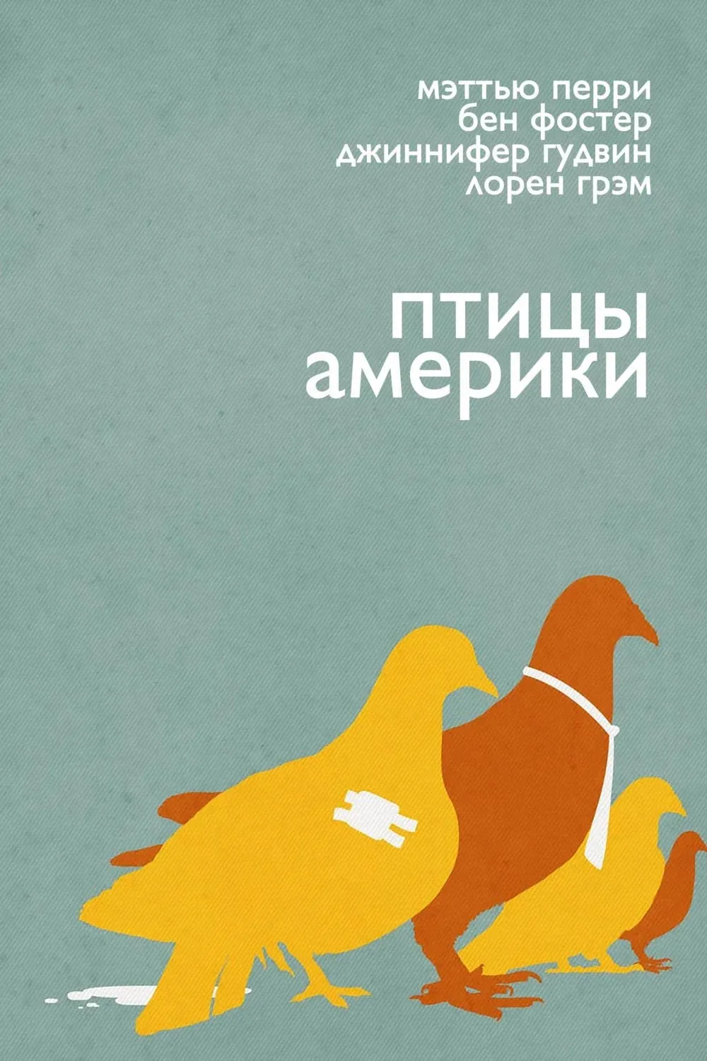 Постер фильма Птицы Америки