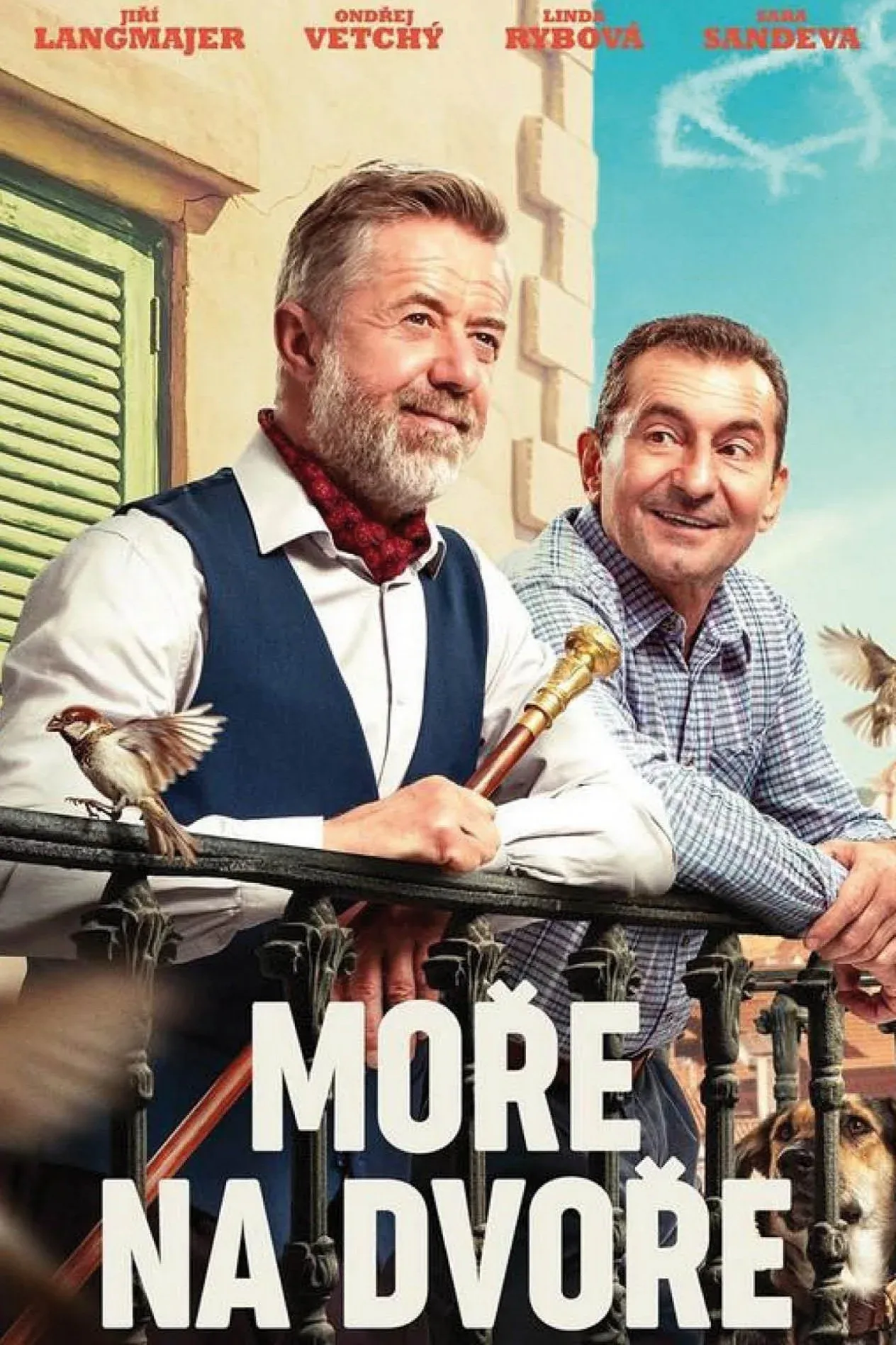 Постер фильма Море во дворе