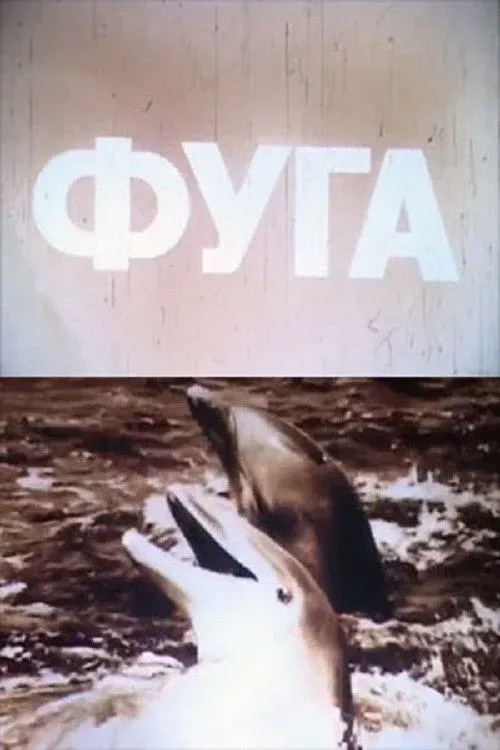 Постер фильма Фуга