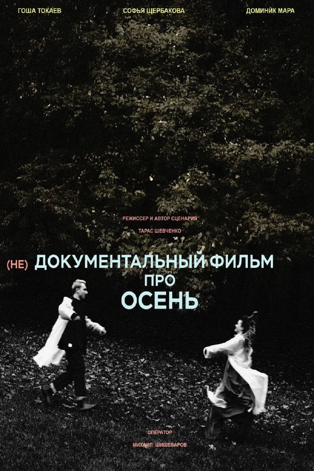 Постер фильма (не)Документальный фильм про осень