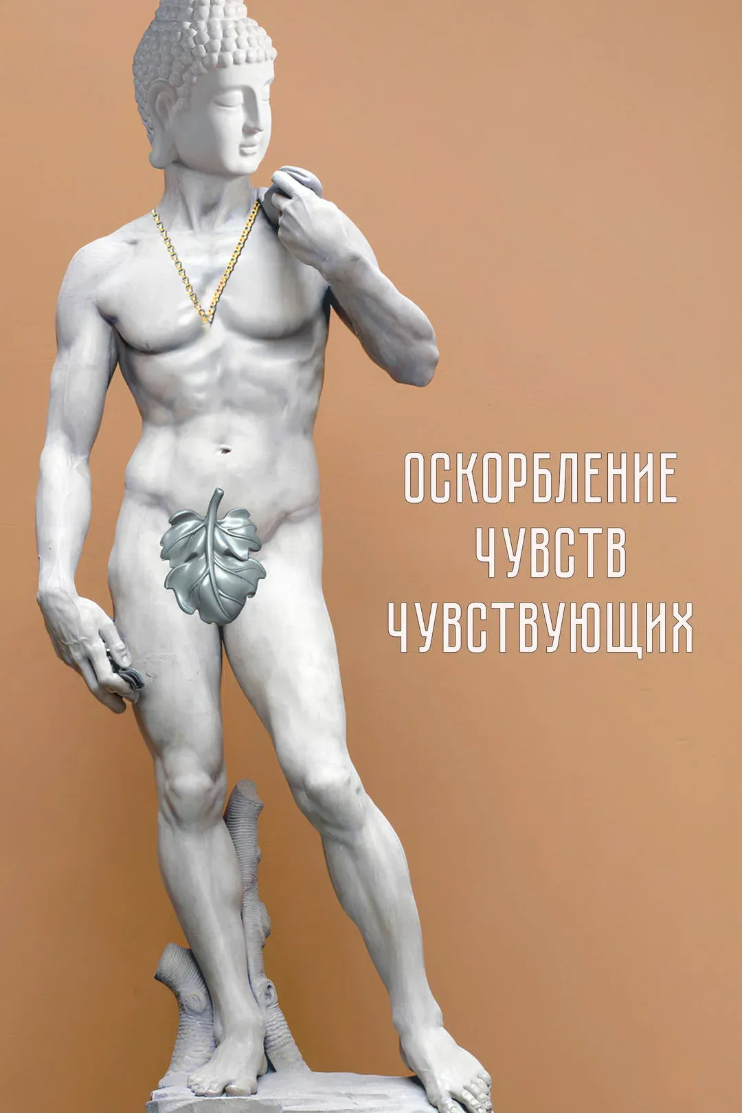 Постер фильма Оскорбление чувств чувствующих