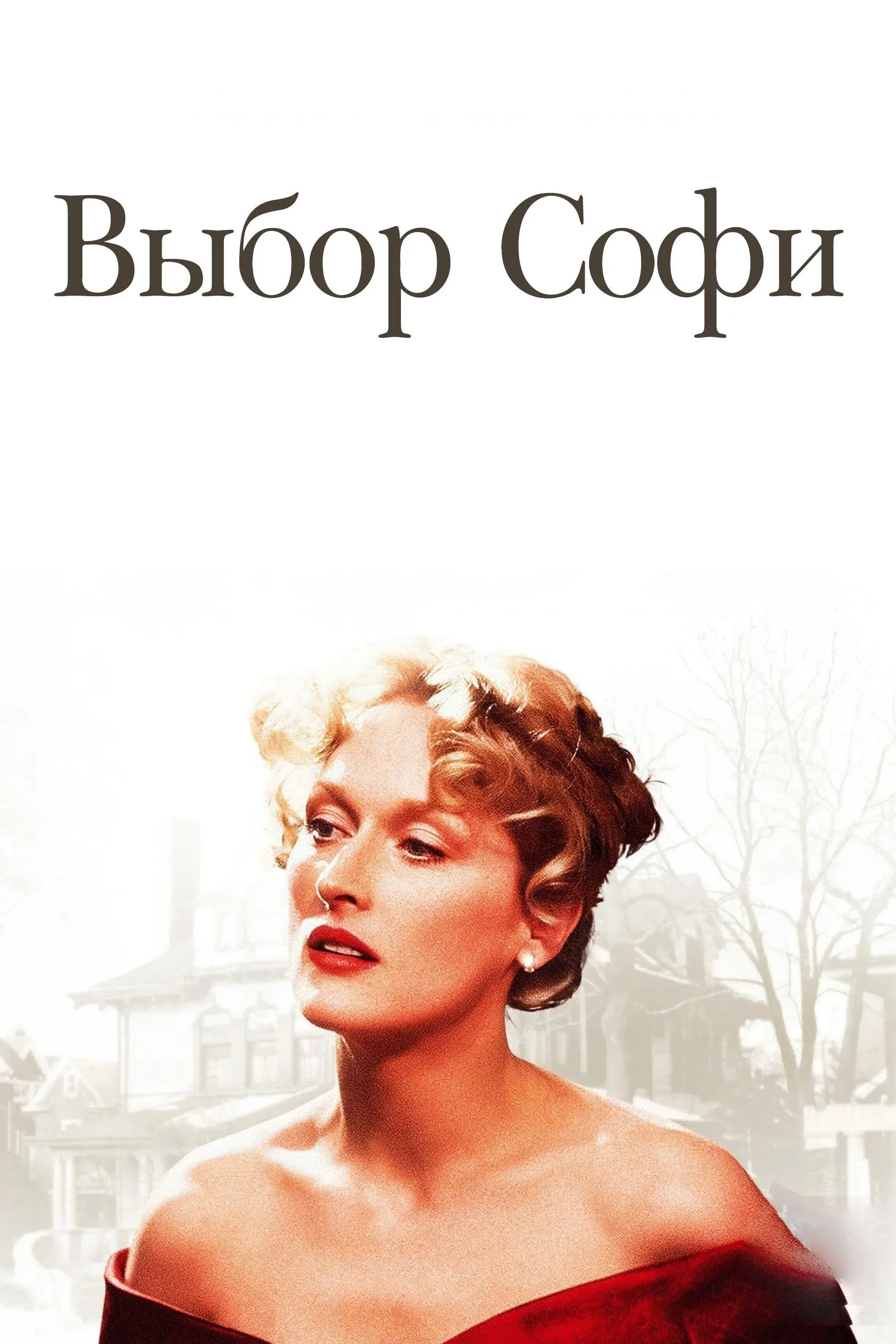 Постер фильма Выбор Софи