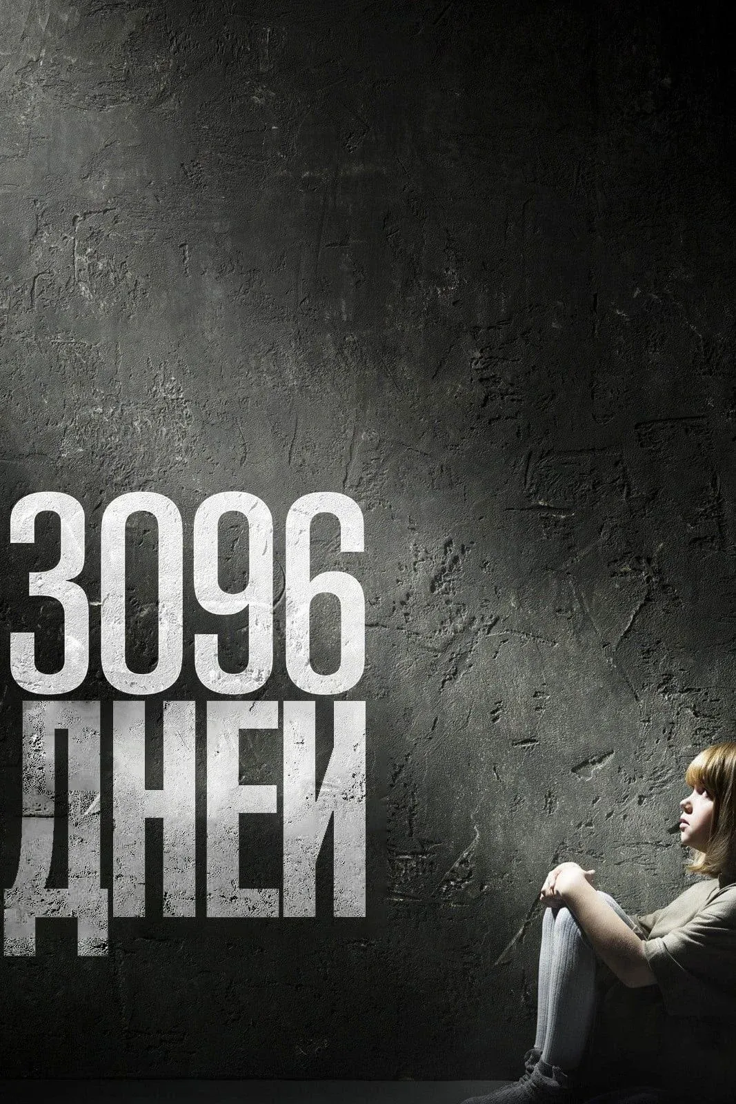 Постер фильма 3096 дней