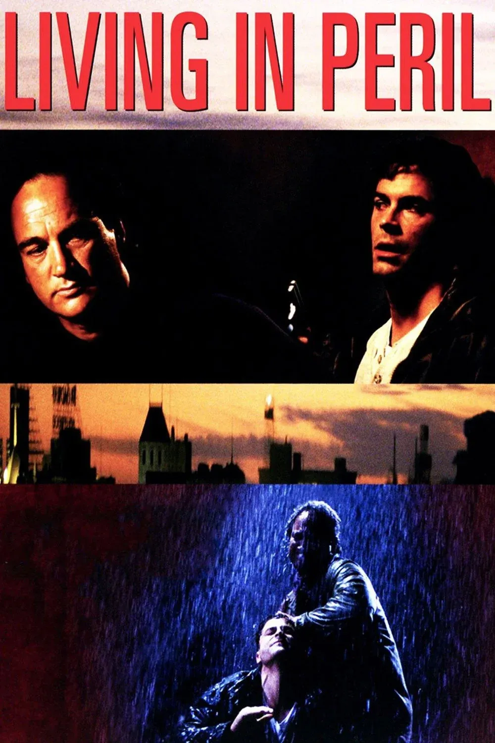 Постер фильма Рискуя жизнью