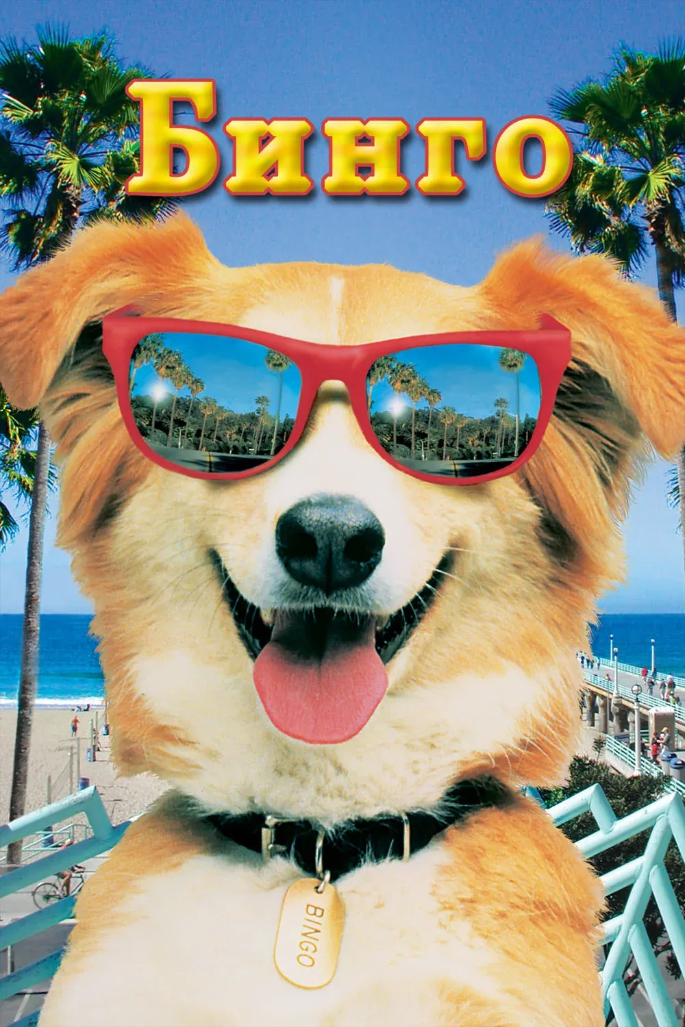 Постер фильма Бинго